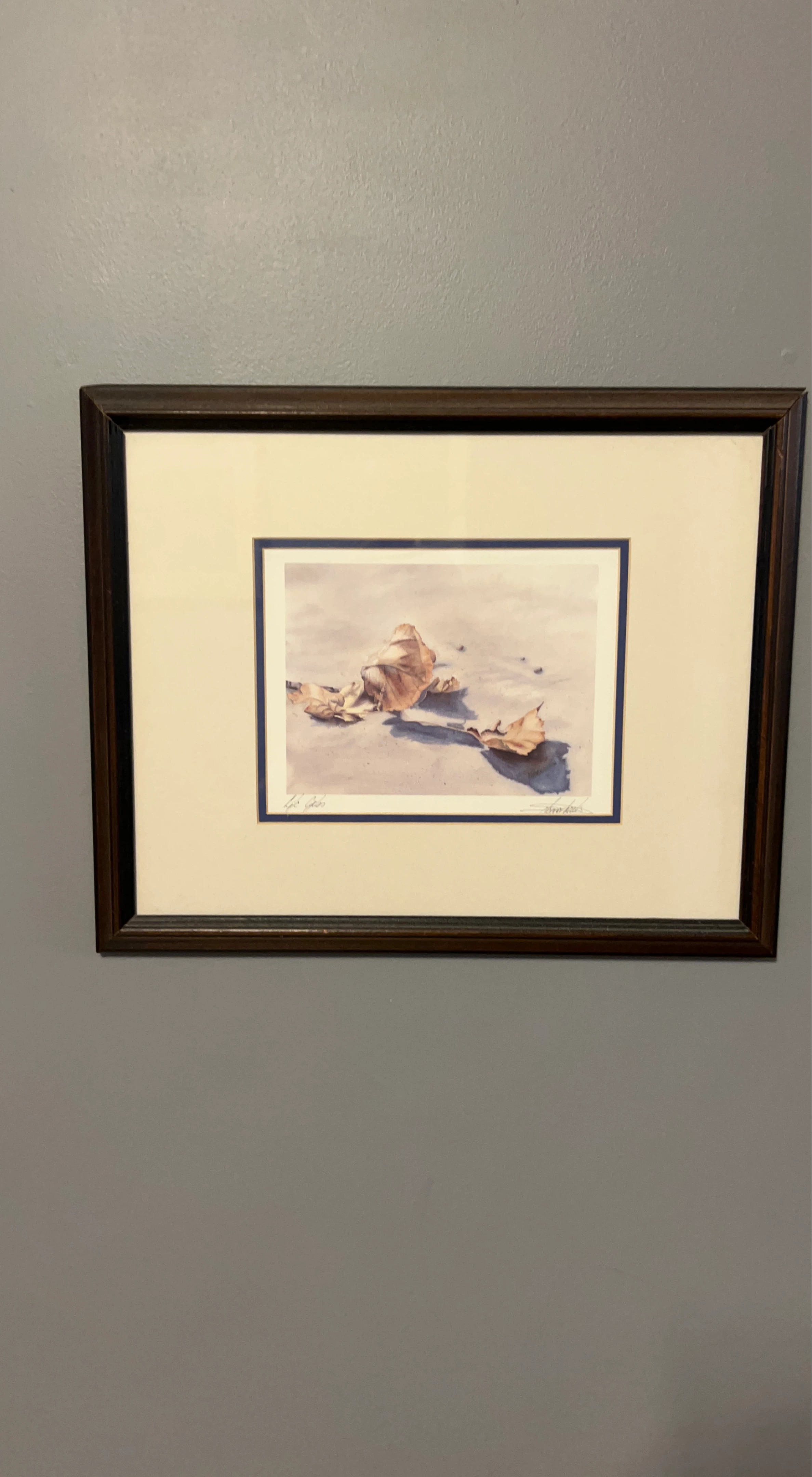 Framed Watercolor Painting of Autumn Leaves