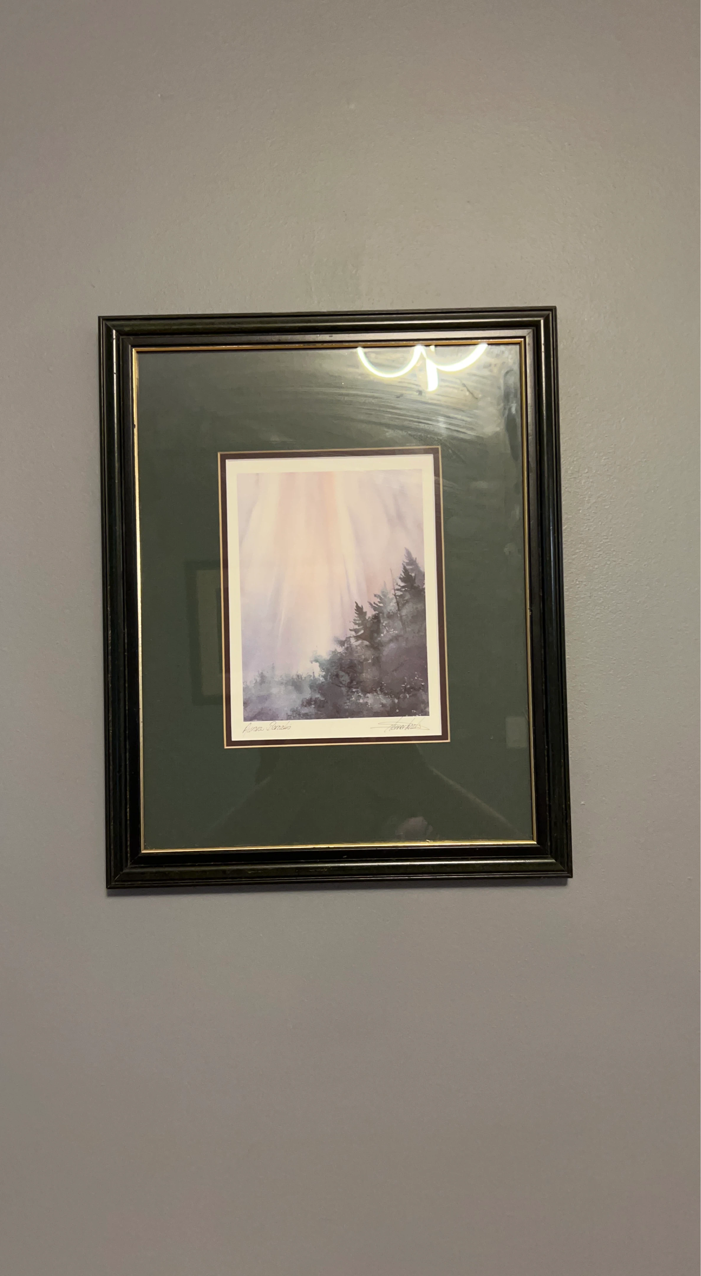 Framed Forest Landscape Art Print