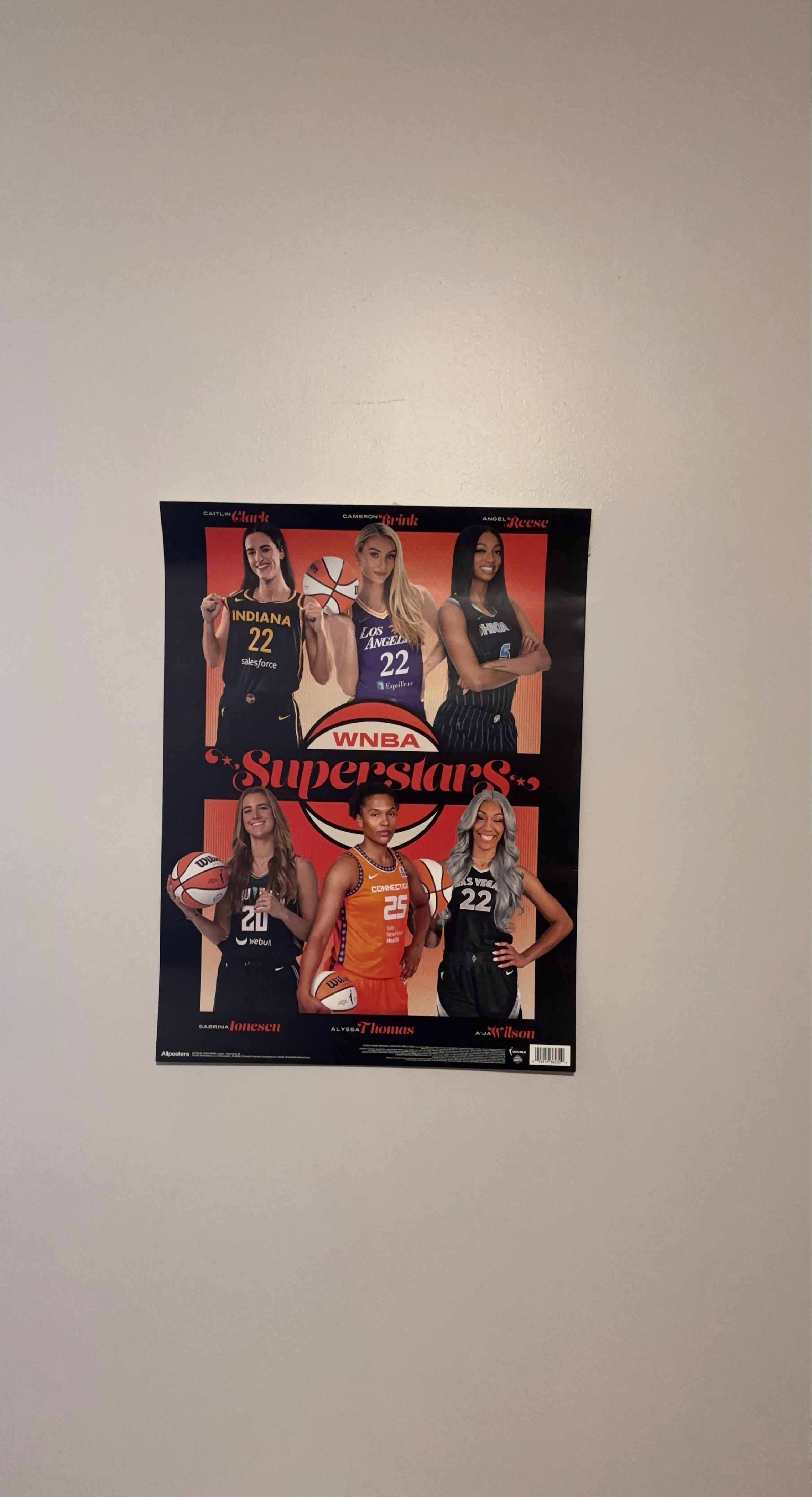WNBA Superstars Poster