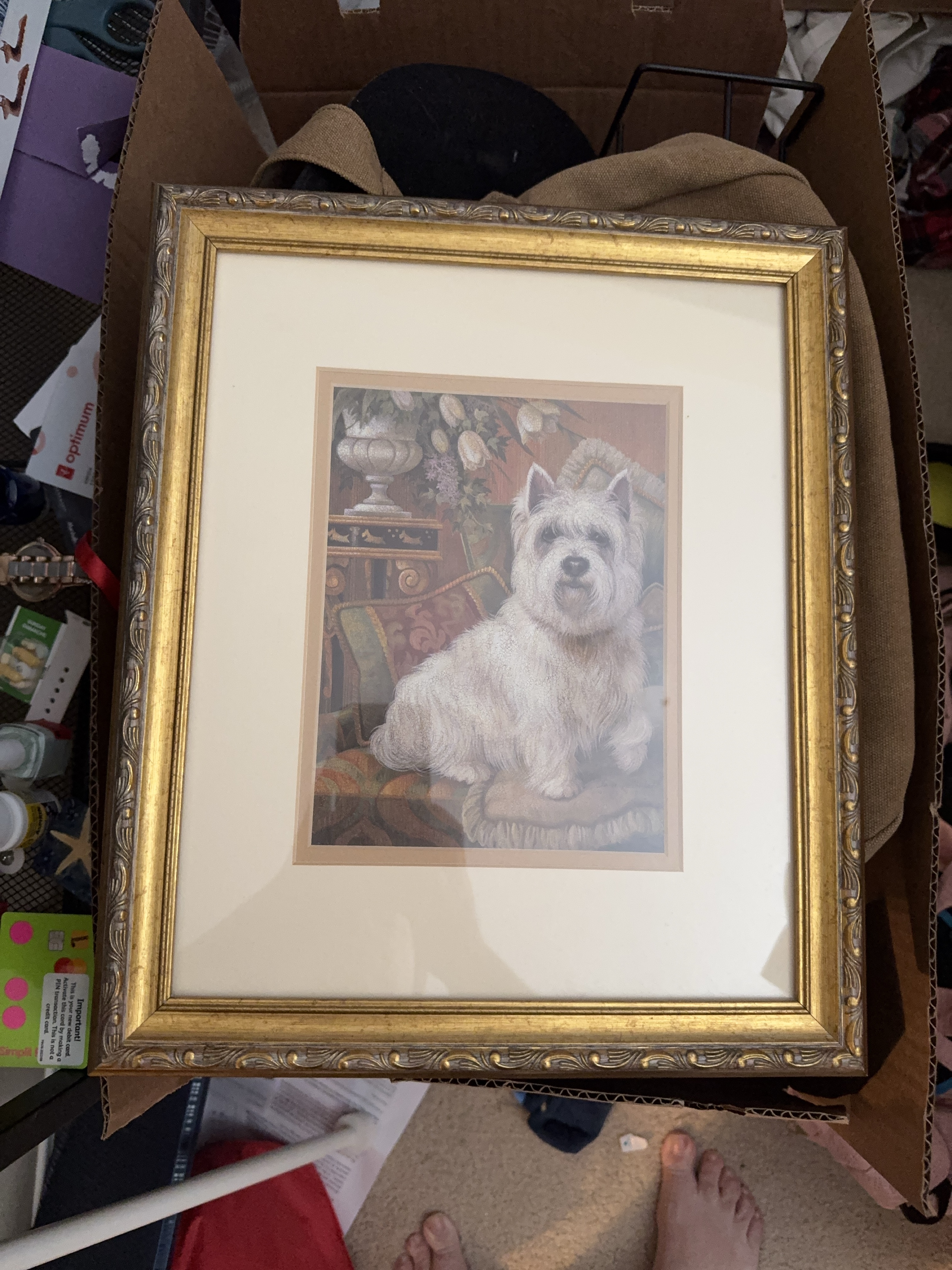 Framed Art Print of a West Highland White Terrier