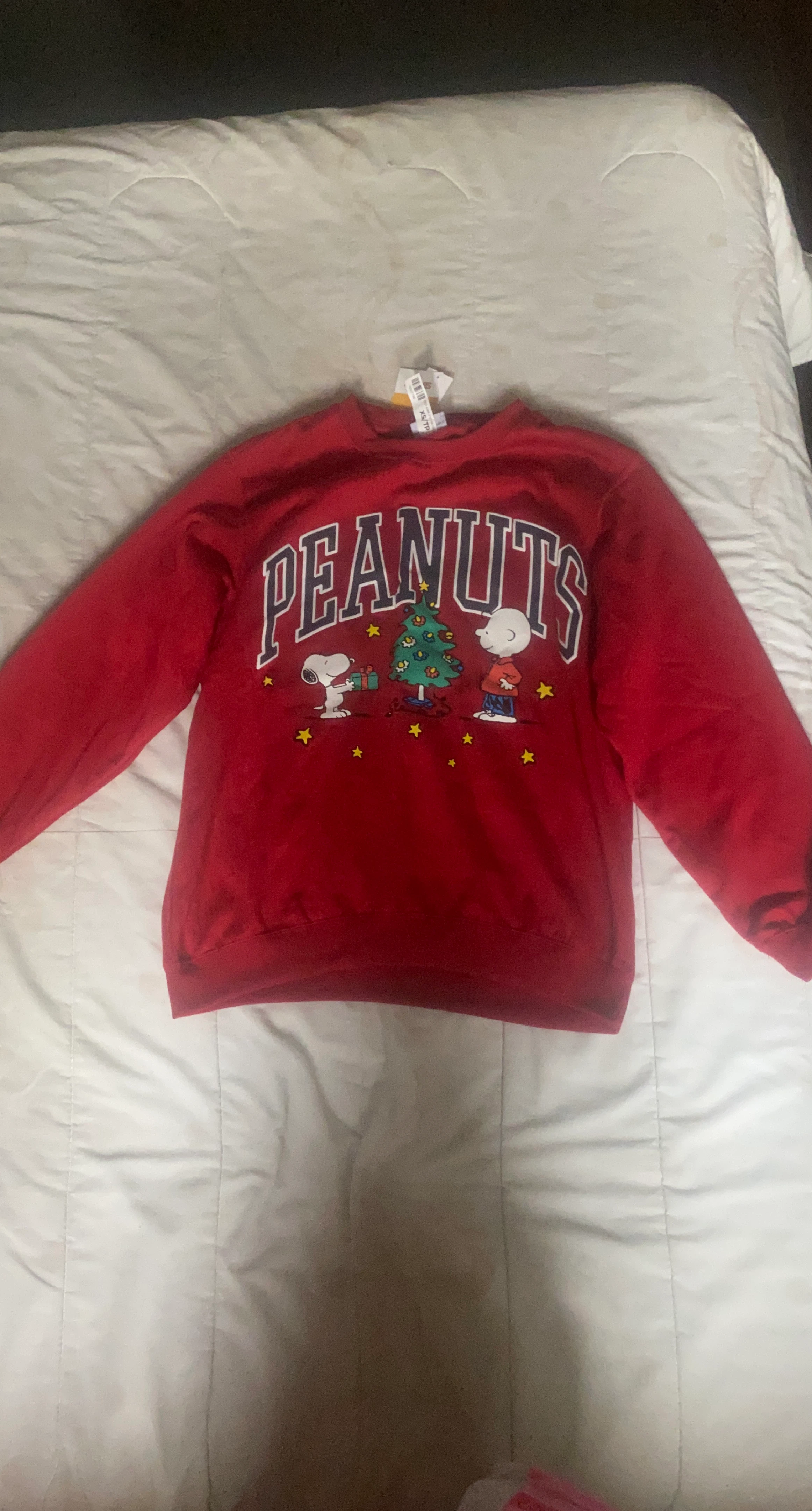 Peanuts Christmas Snoopy and Charlie Brown Sweatshirt