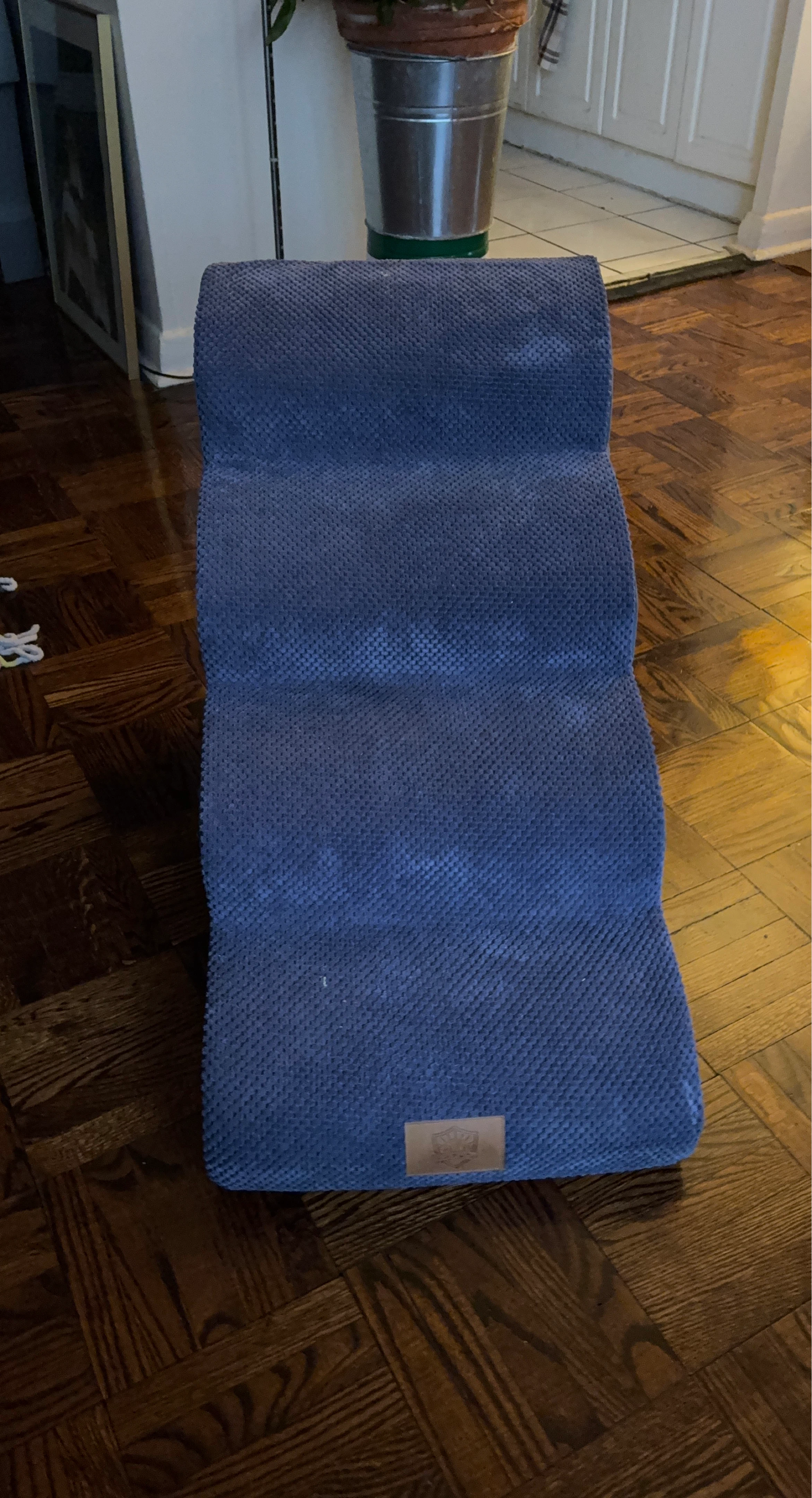 Blue Pet Stairs