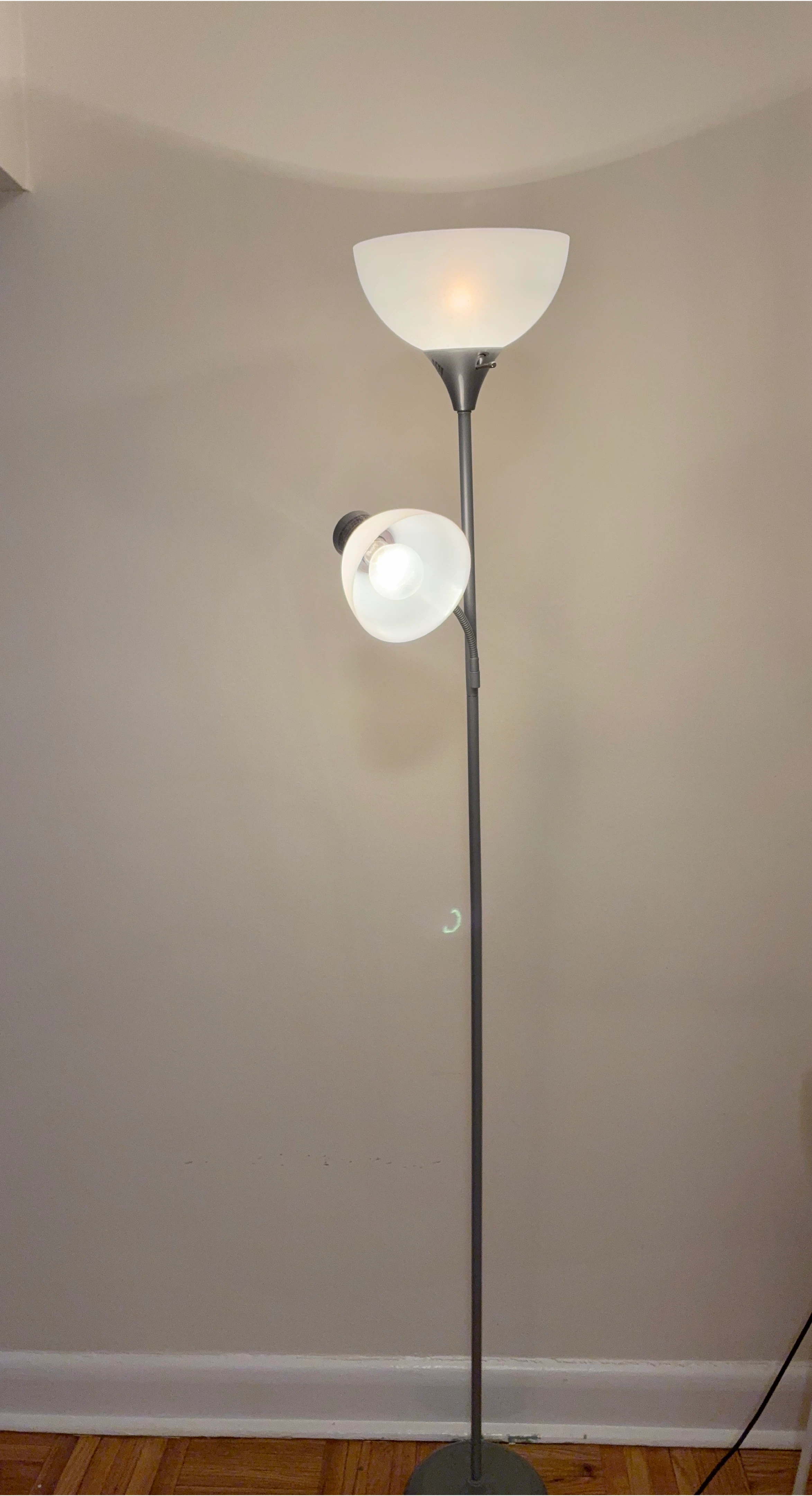 Adjustable Floor Lamp with Two Lights