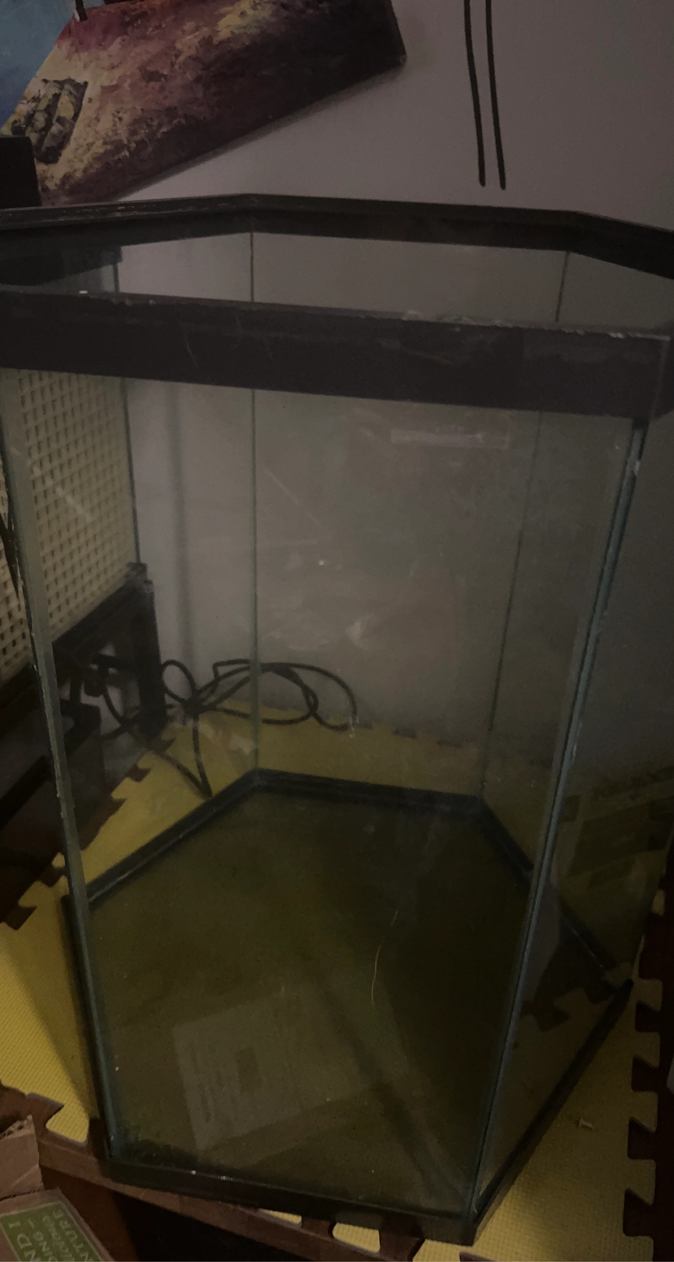 Hexagonal Glass Aquarium Tank
