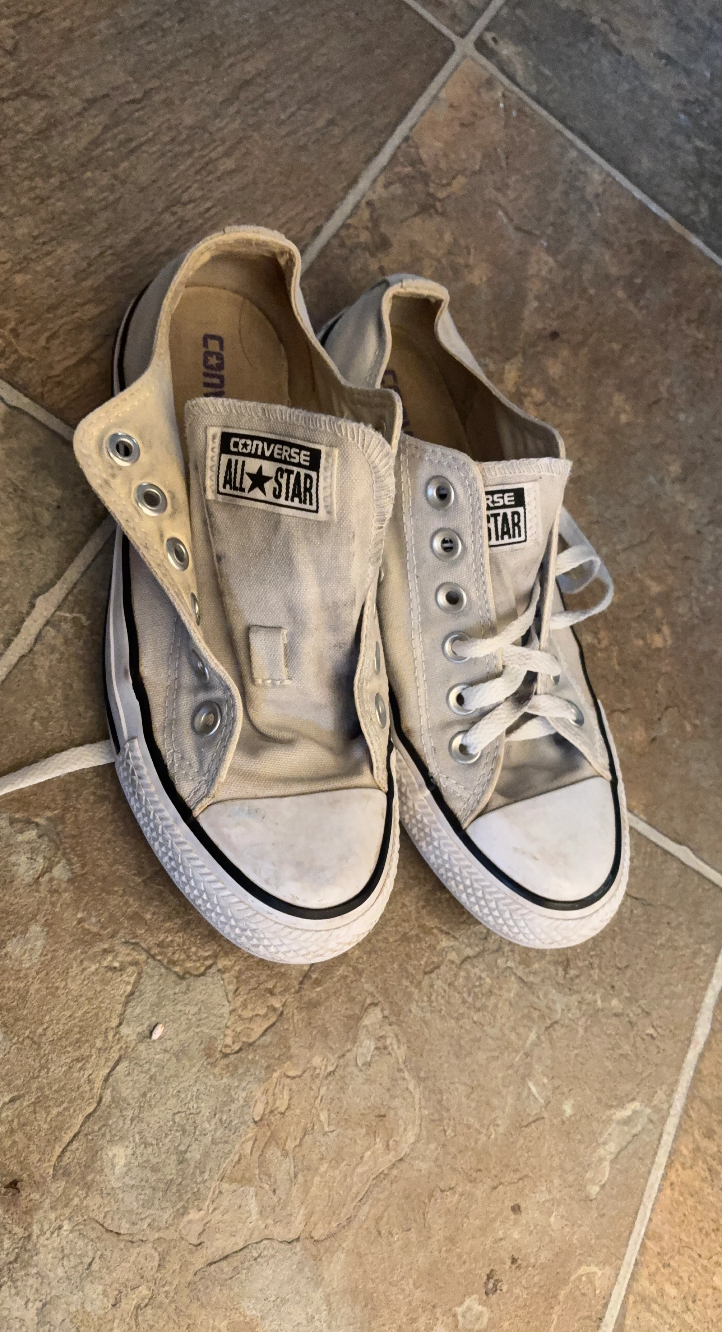 Converse All Star Sneakers