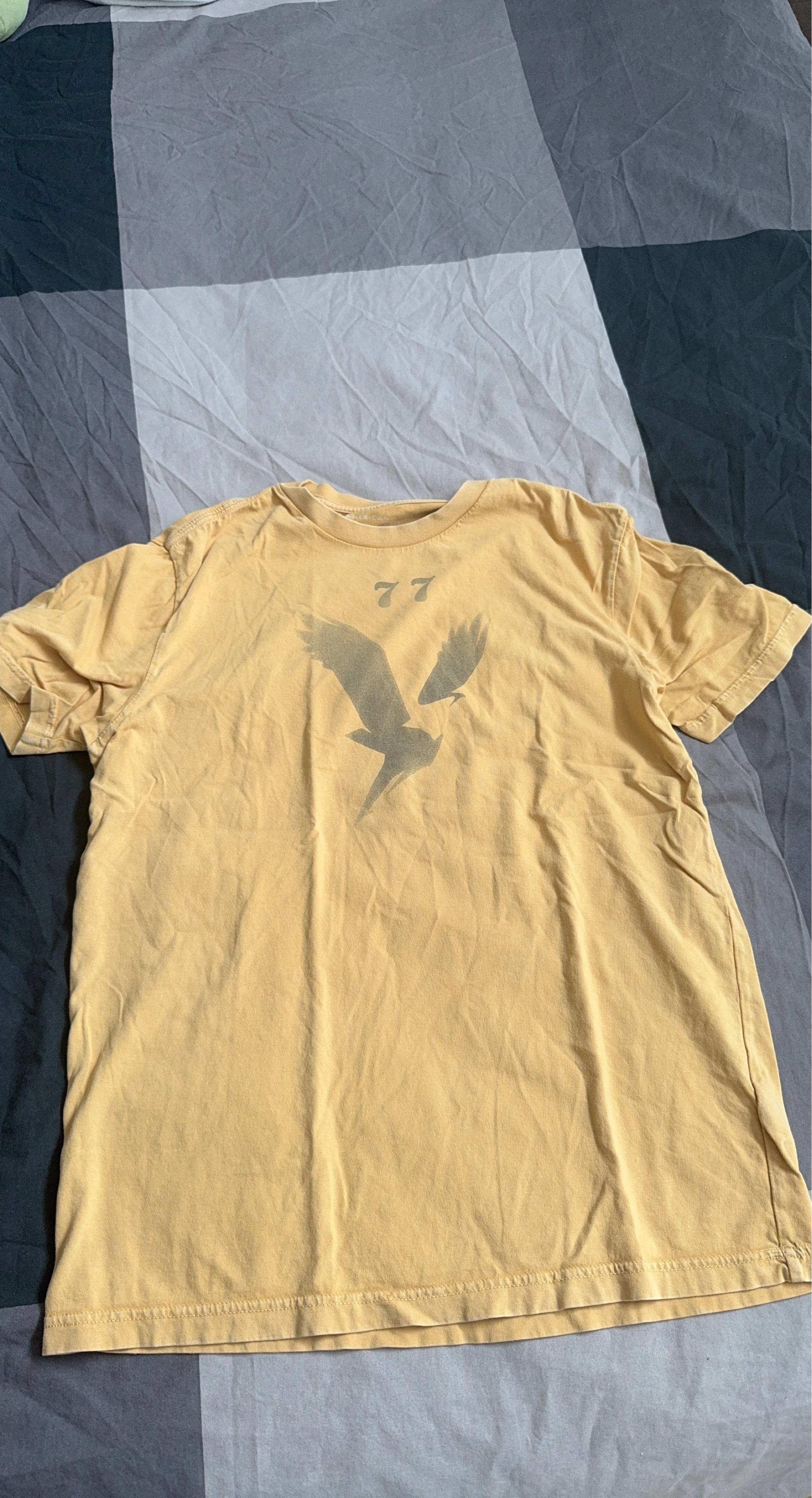American Eagle Outfitters Graphic T-Shirt
