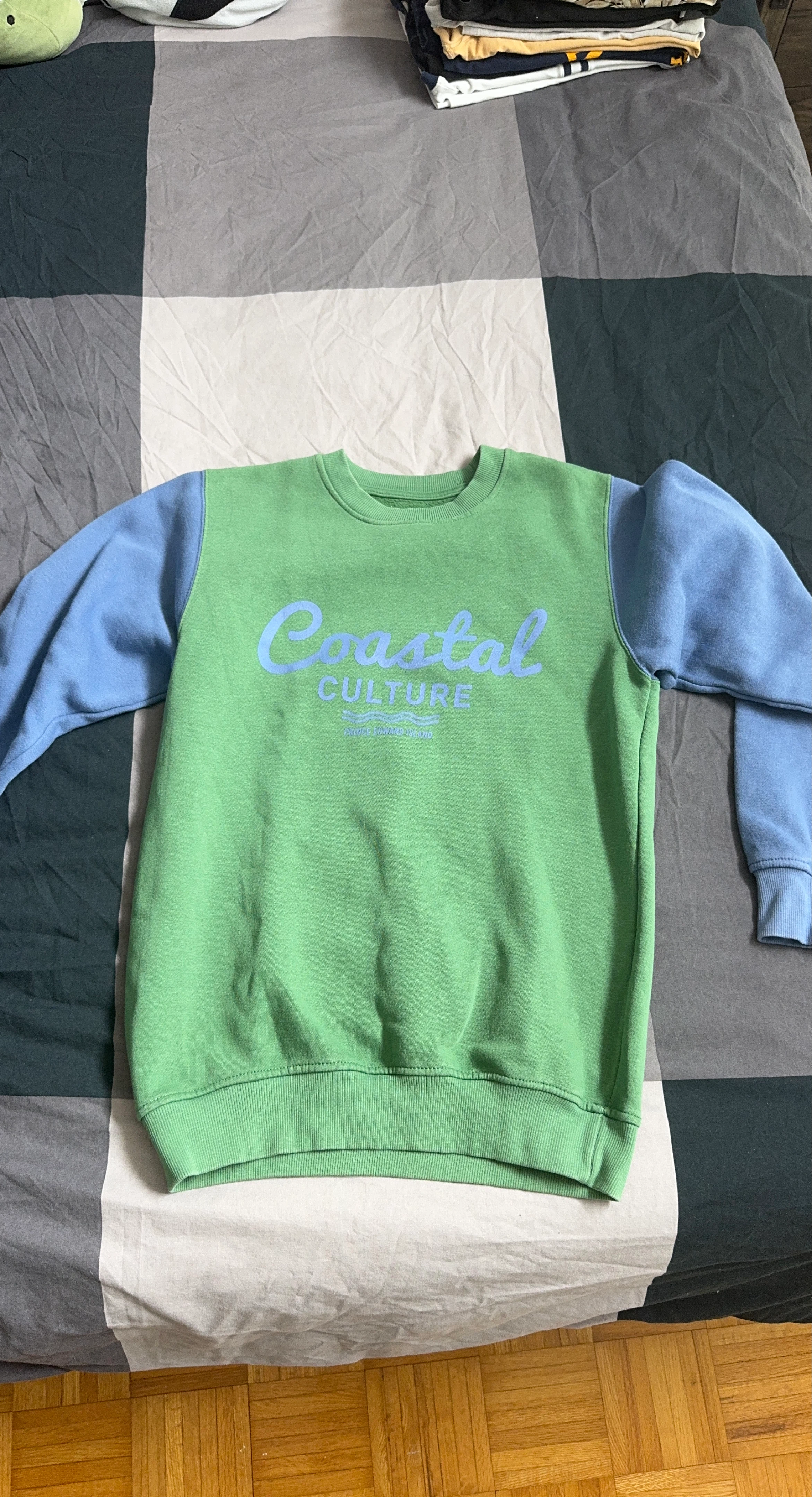 Coastal Culture Crewneck Sweatshirt - Green/Blue - Small