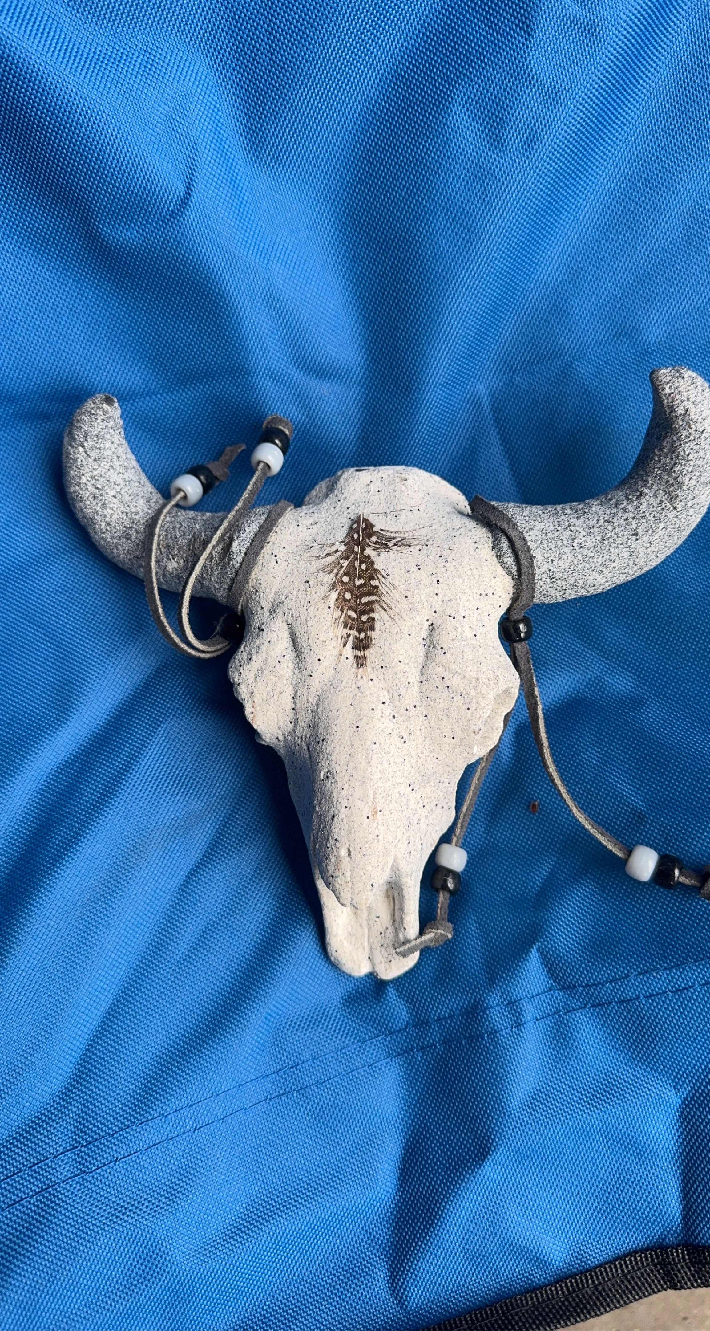 Decorative Cow Skull with Feather and Beads
