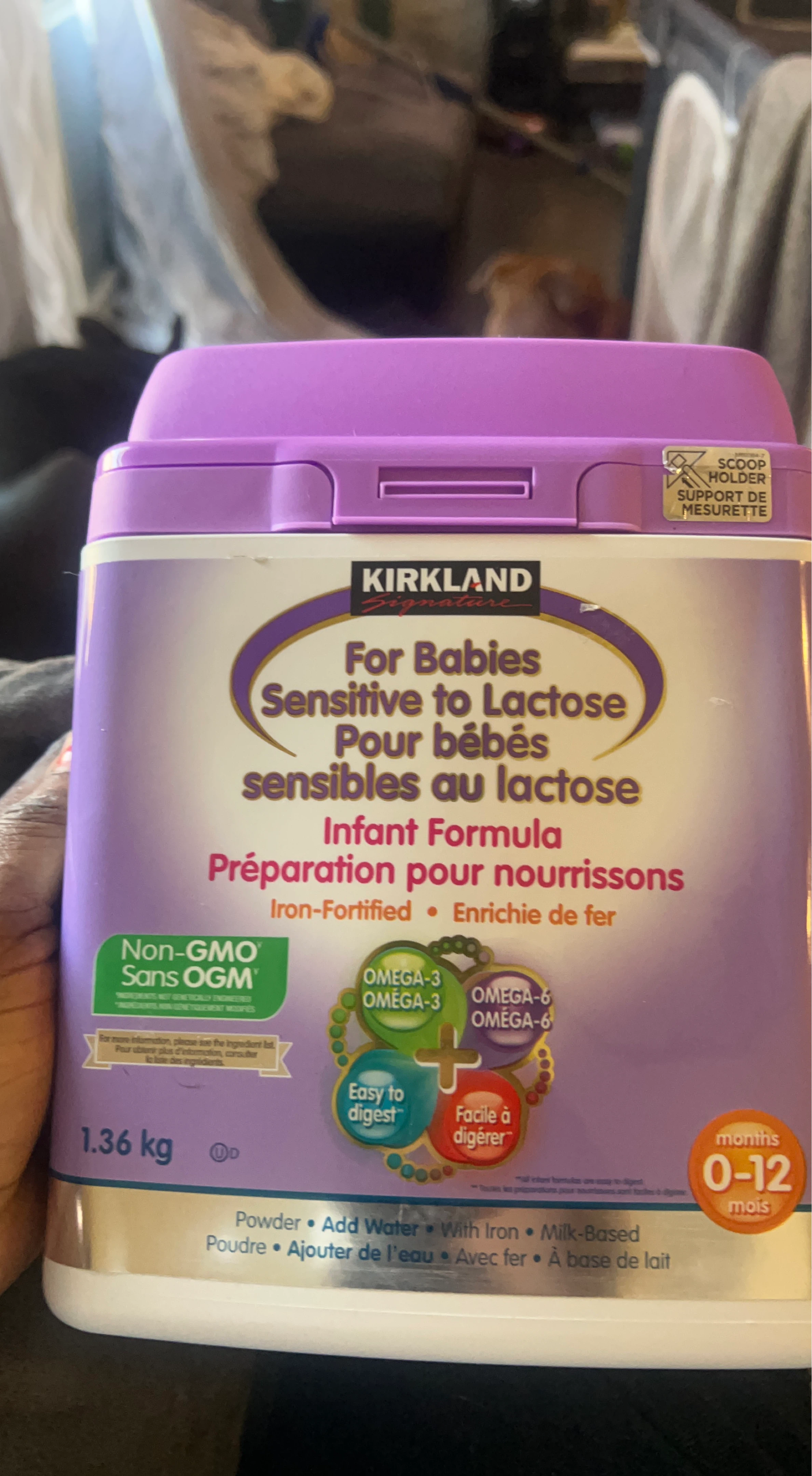Kirkland infant formula