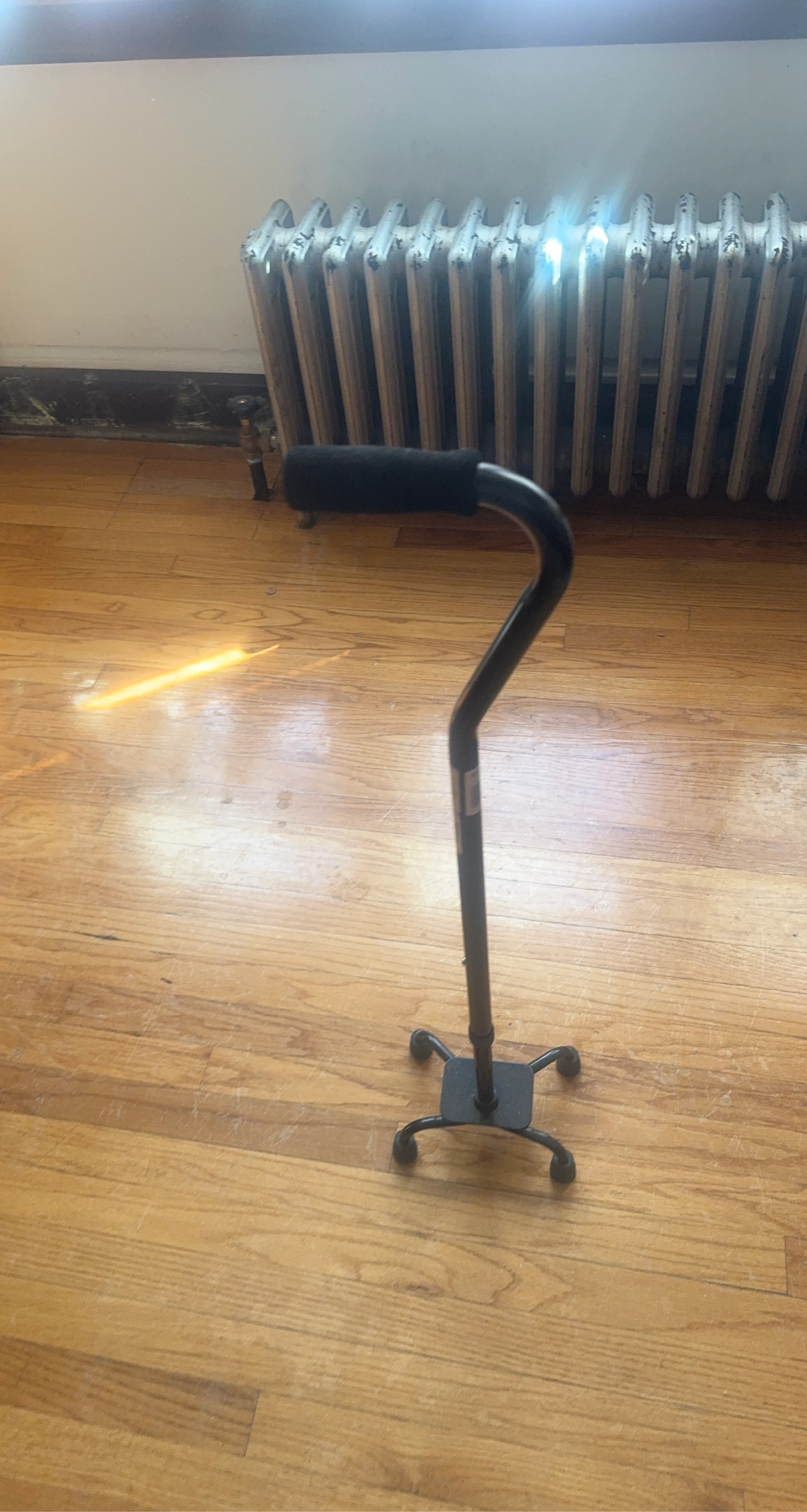 Quad Cane