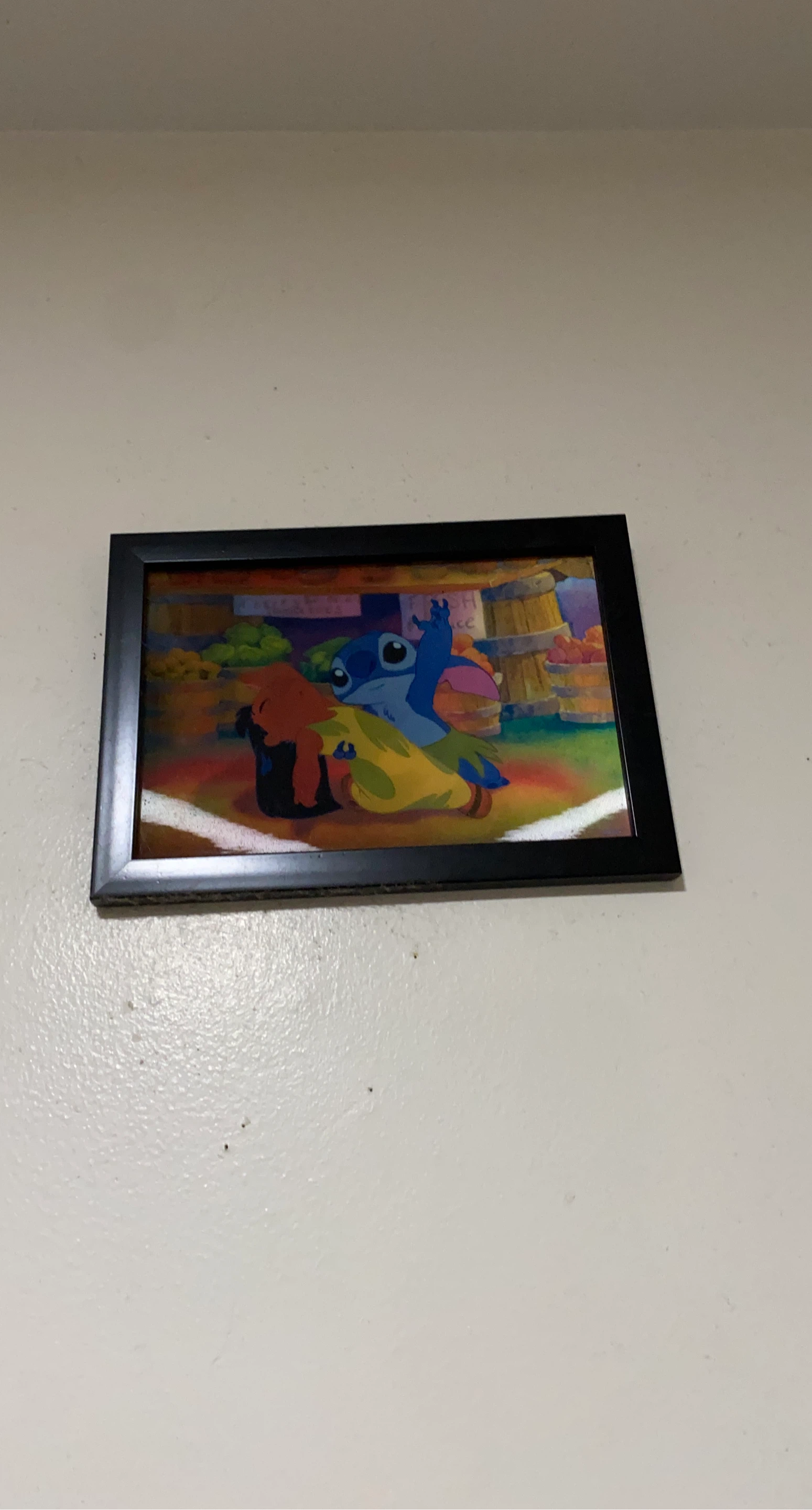 Framed Stitch Print