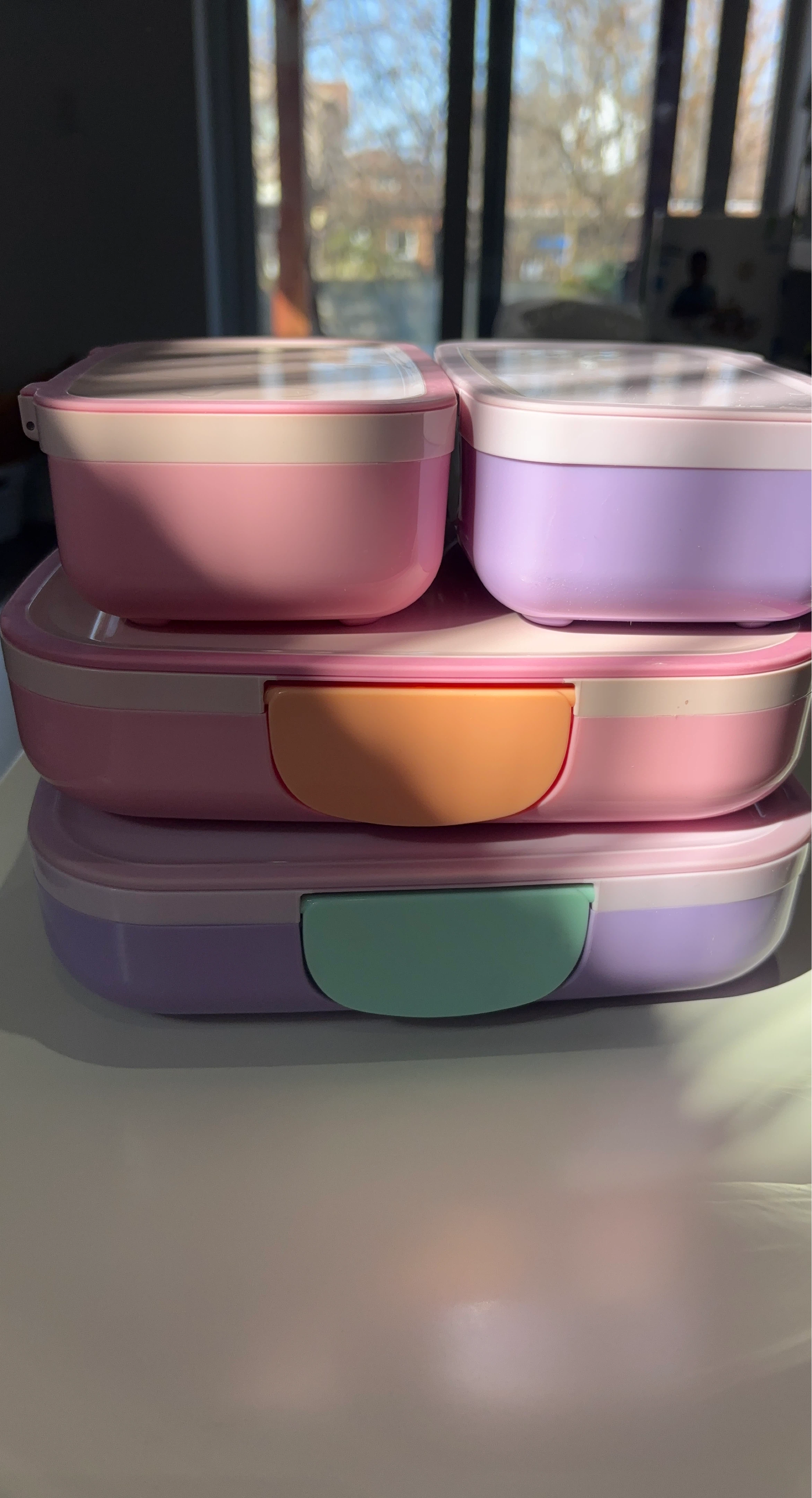 Bento Lunch Boxes - photo 2