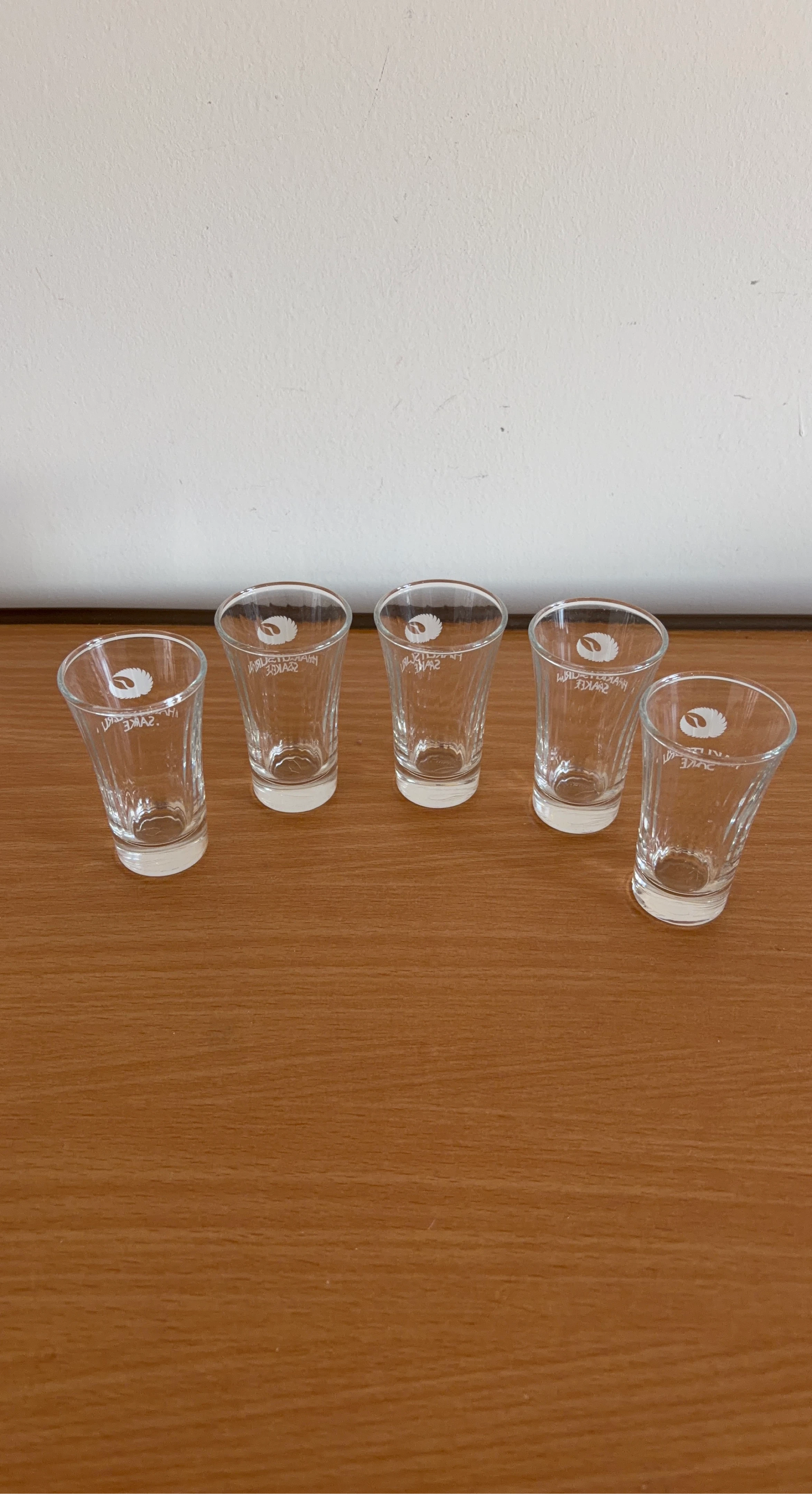 Set of 5 "Handy Shake" Shot Glasses