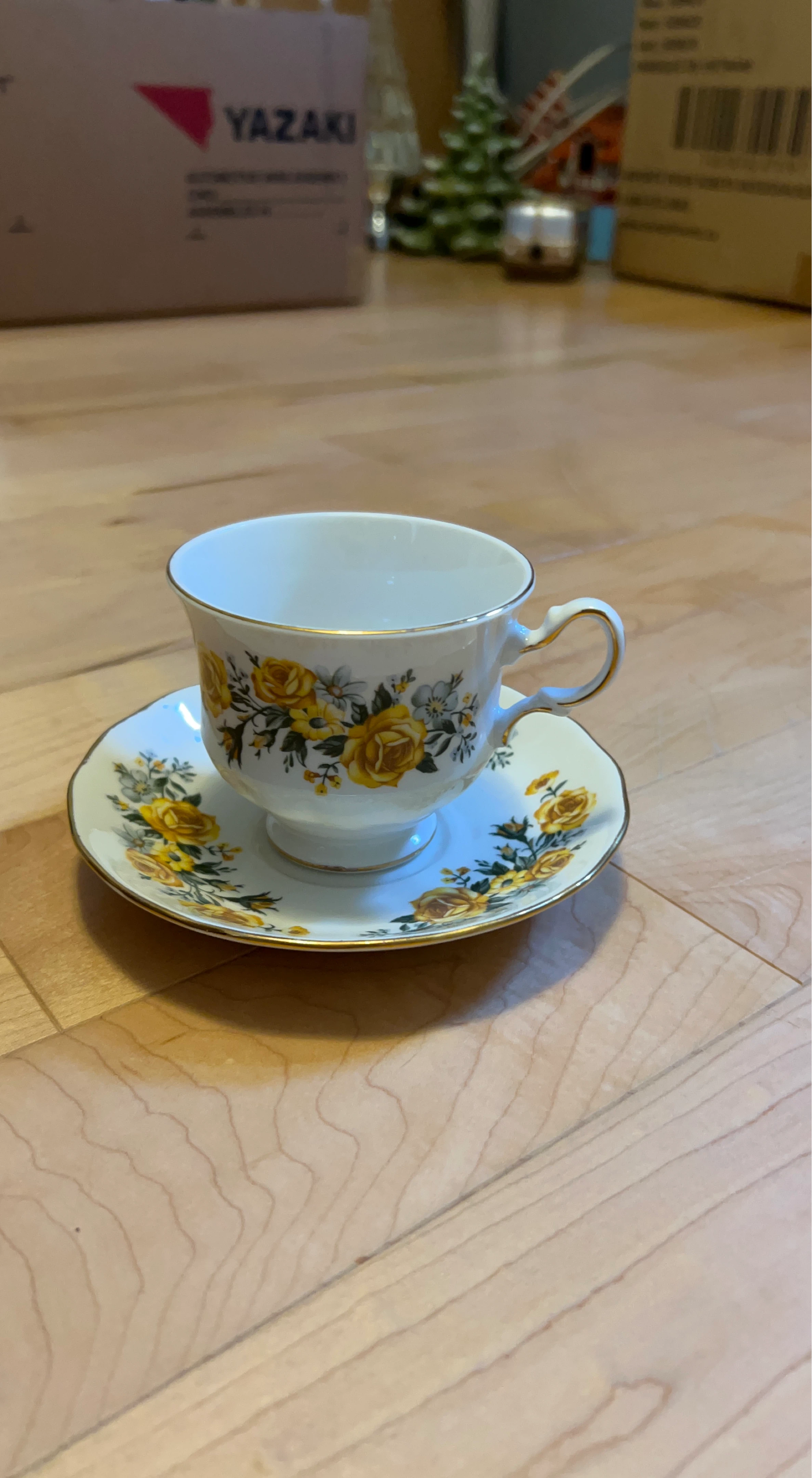 Vintage Rose Teacup and Saucer Set
