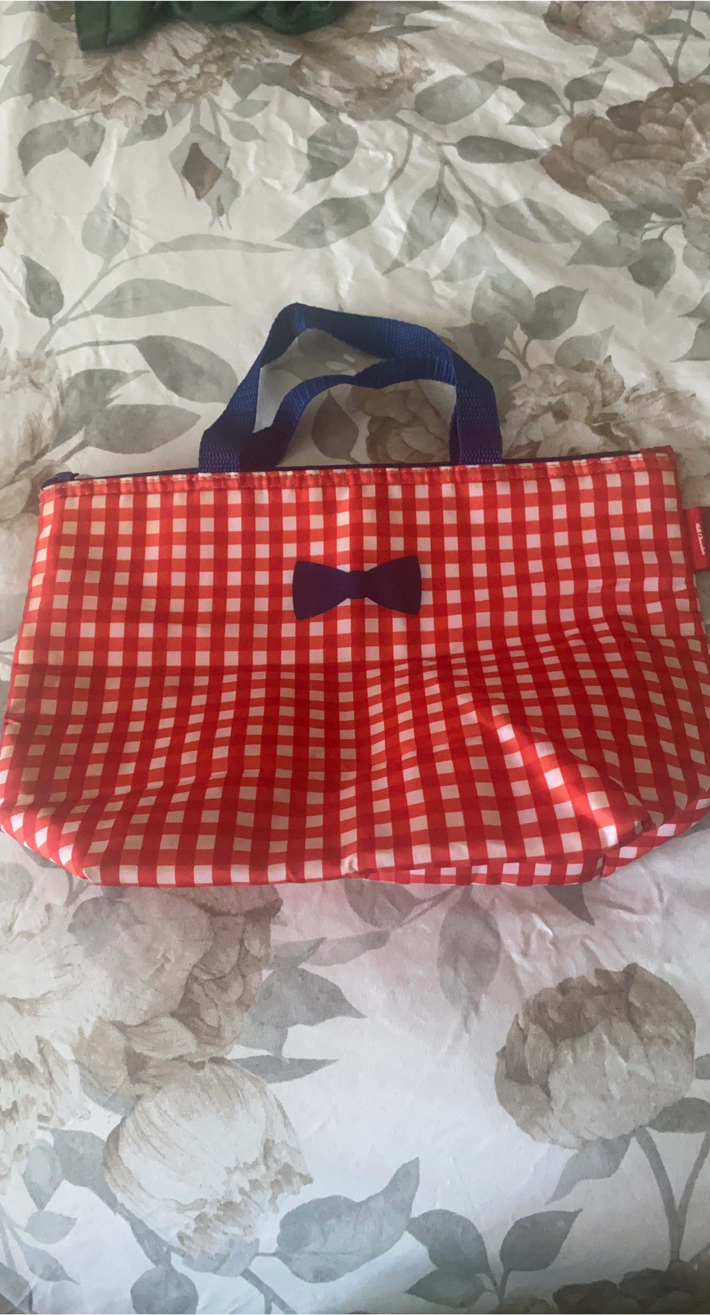 Red Gingham Insulated Lunch Bag