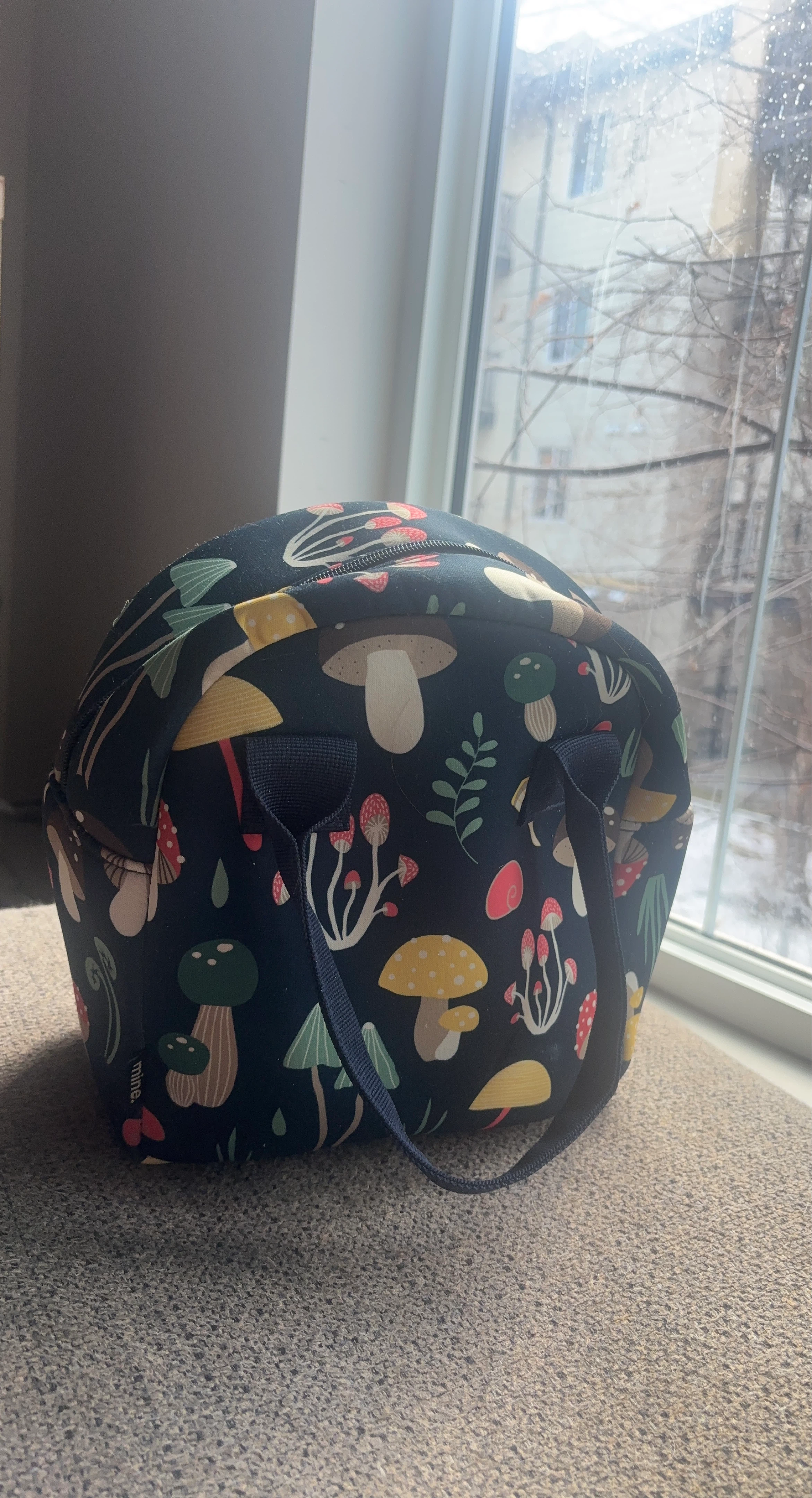 Mushroom Lunch Bag