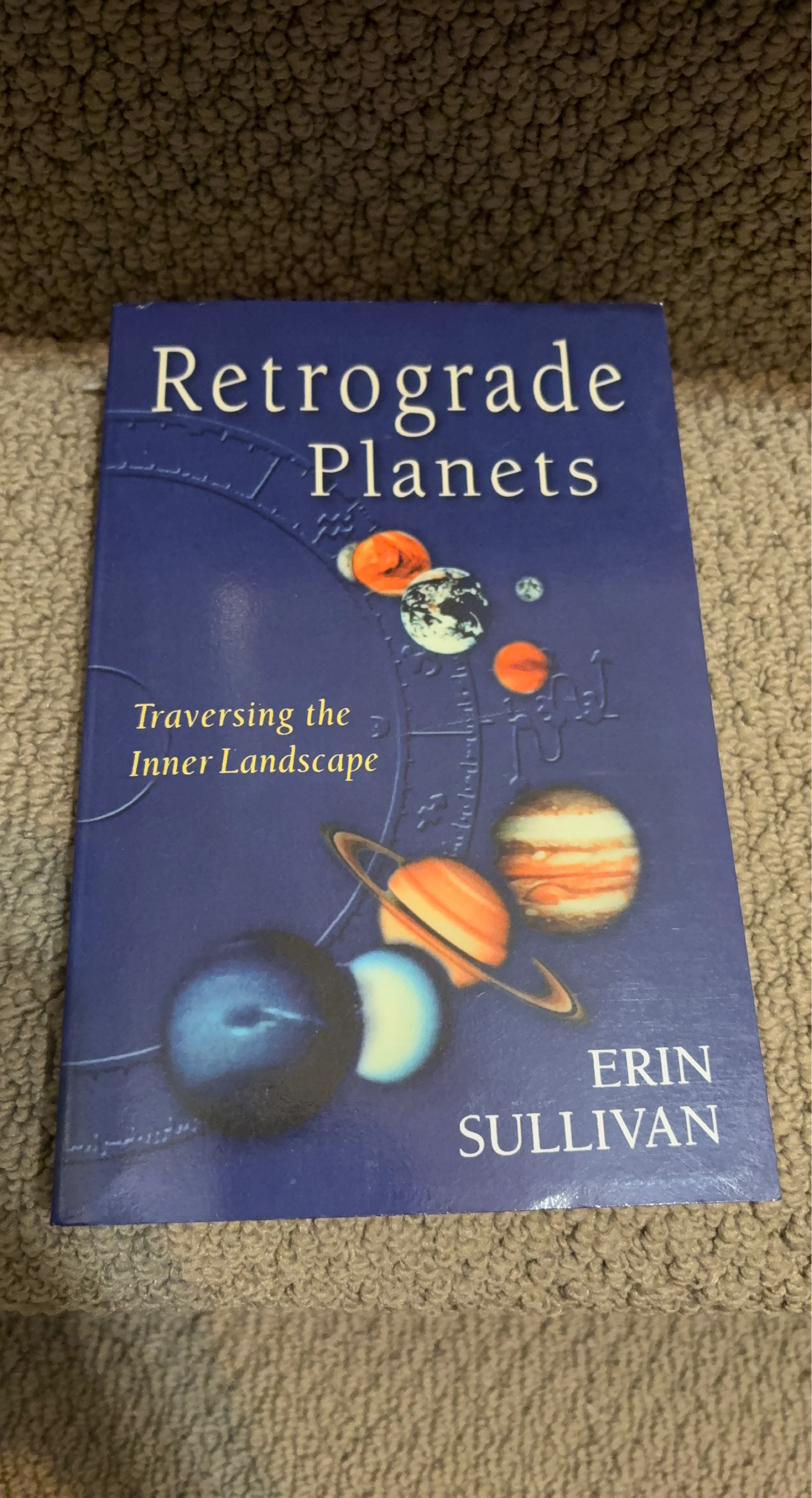 Retrograde Planets by Erin Sullivan