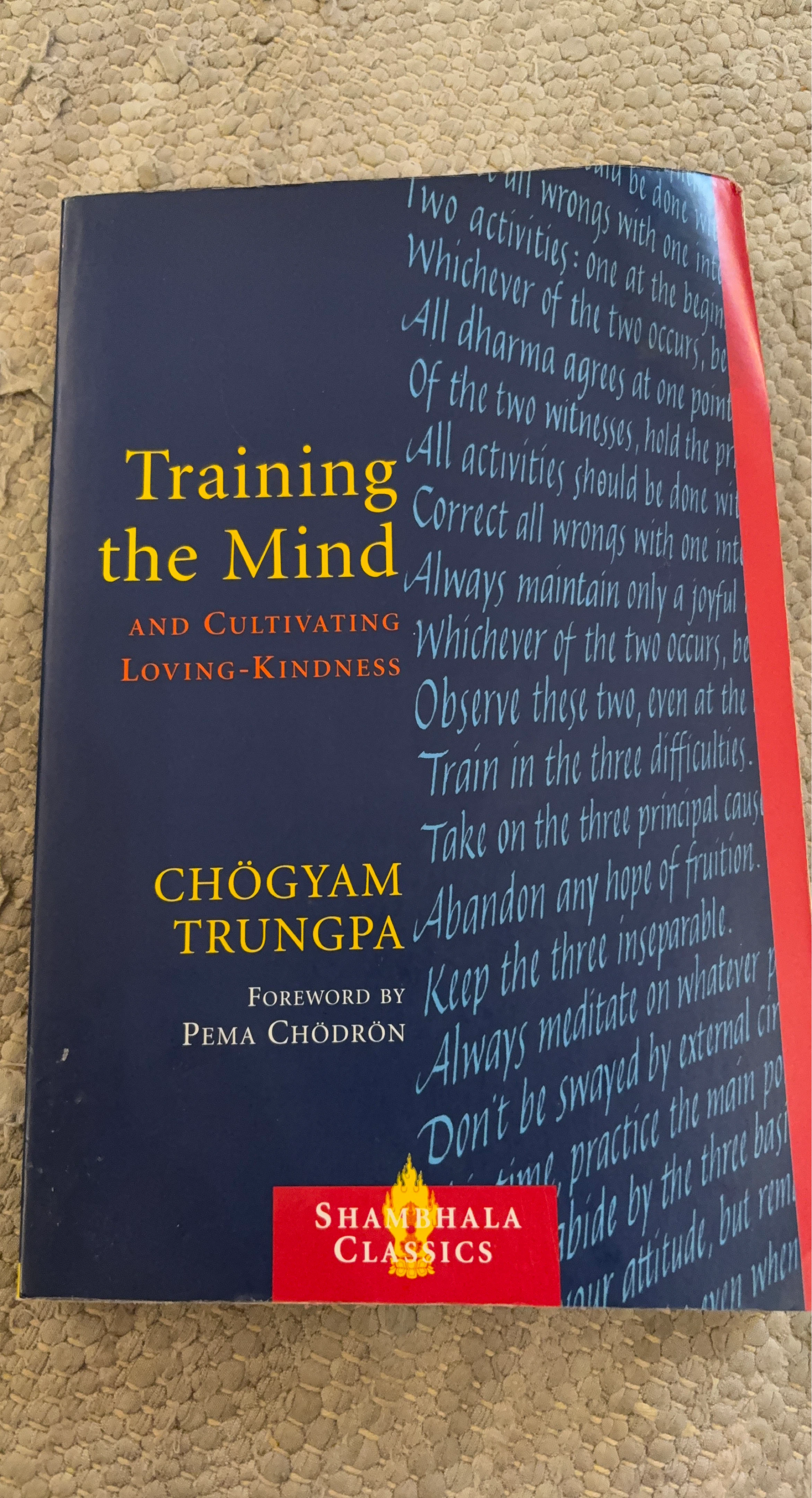 Training the Mind and Cultivating Loving-Kindness Book