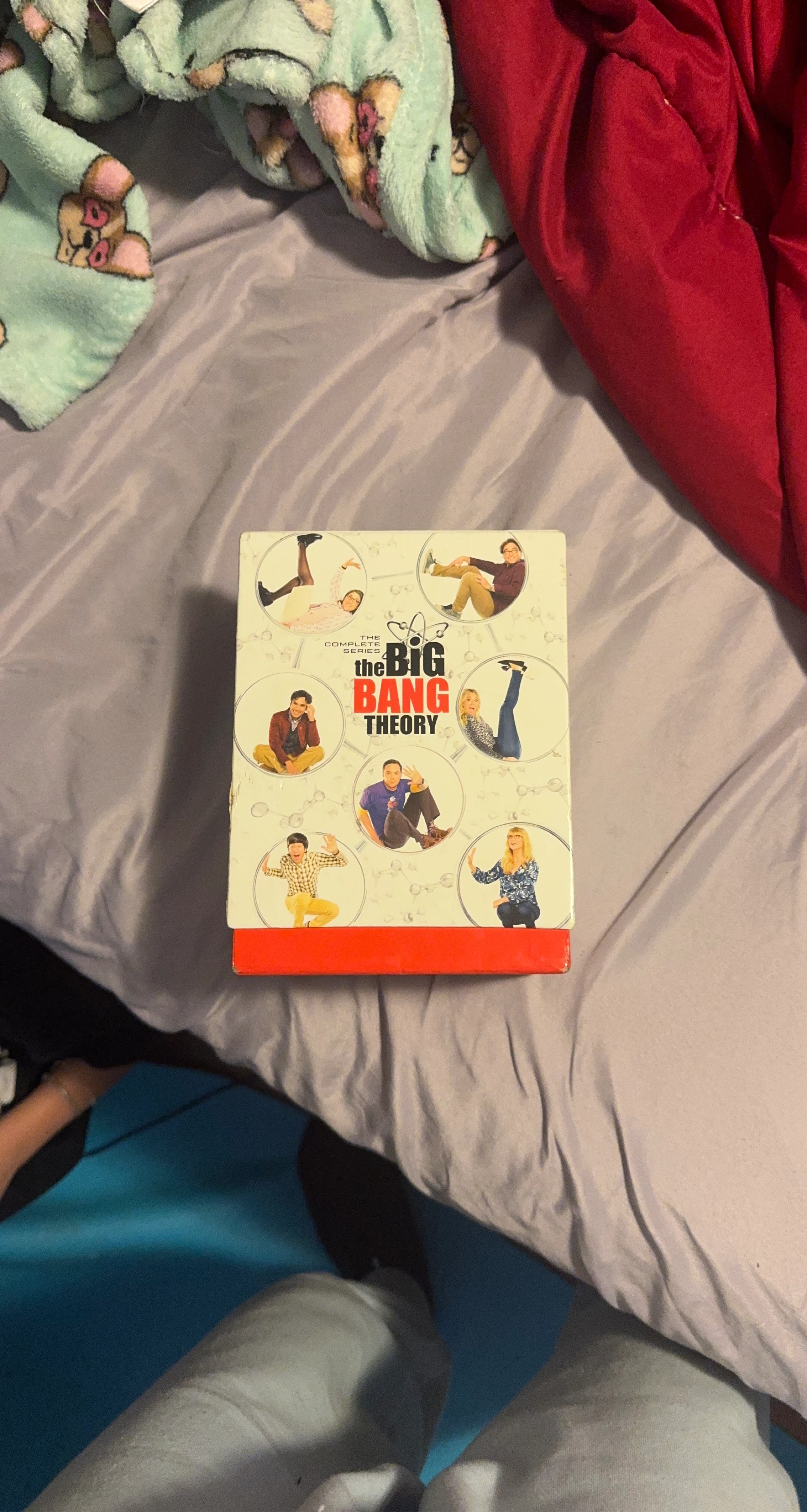 The Big Bang Theory: The Complete Series DVD Box Set