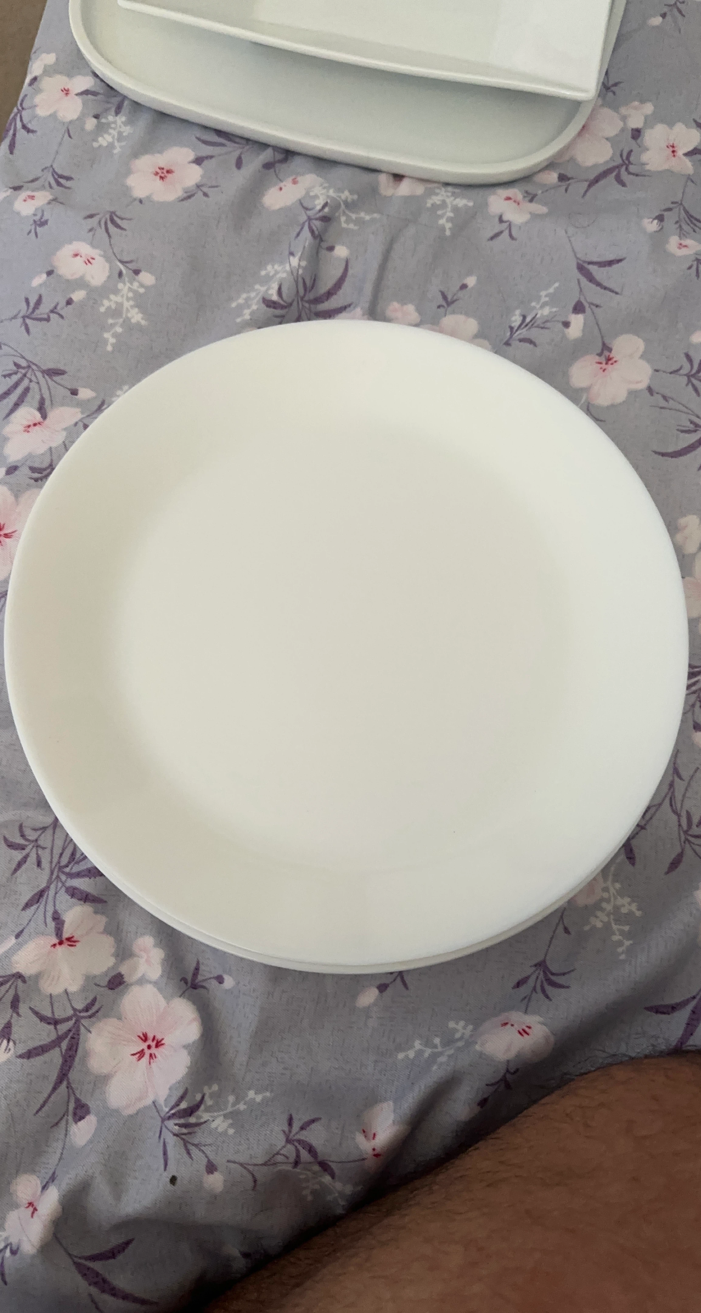 White dinner plates