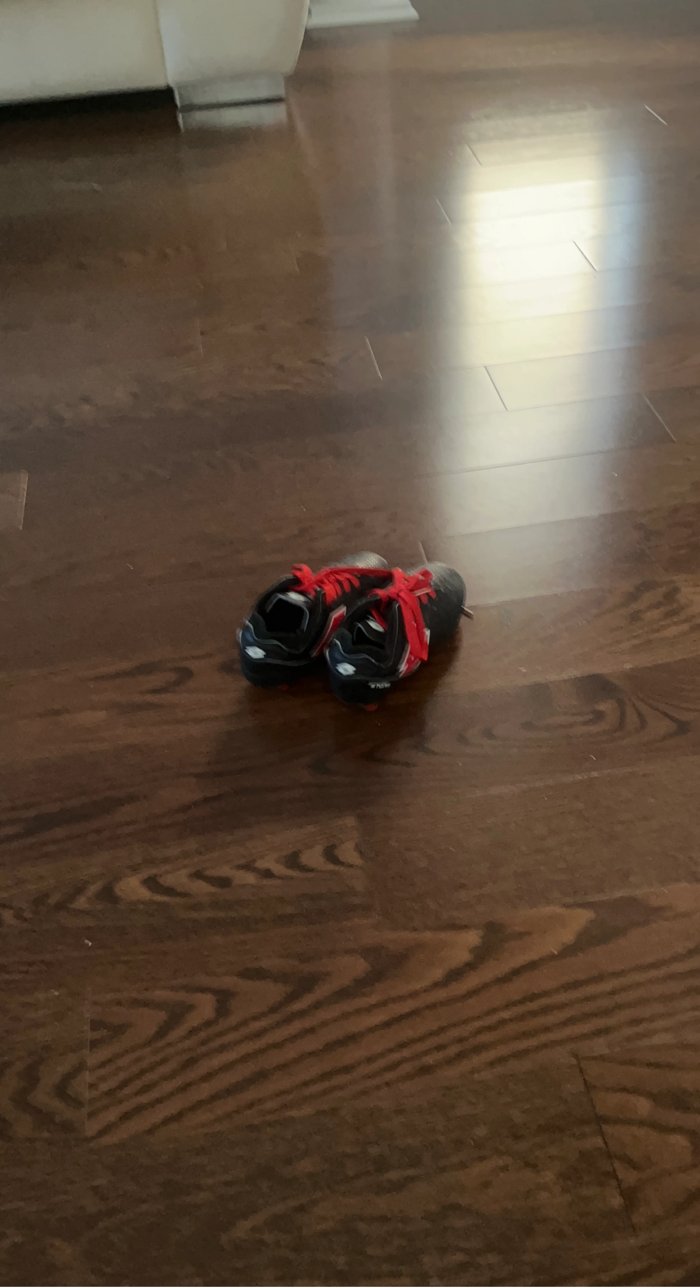 soccer cleats l