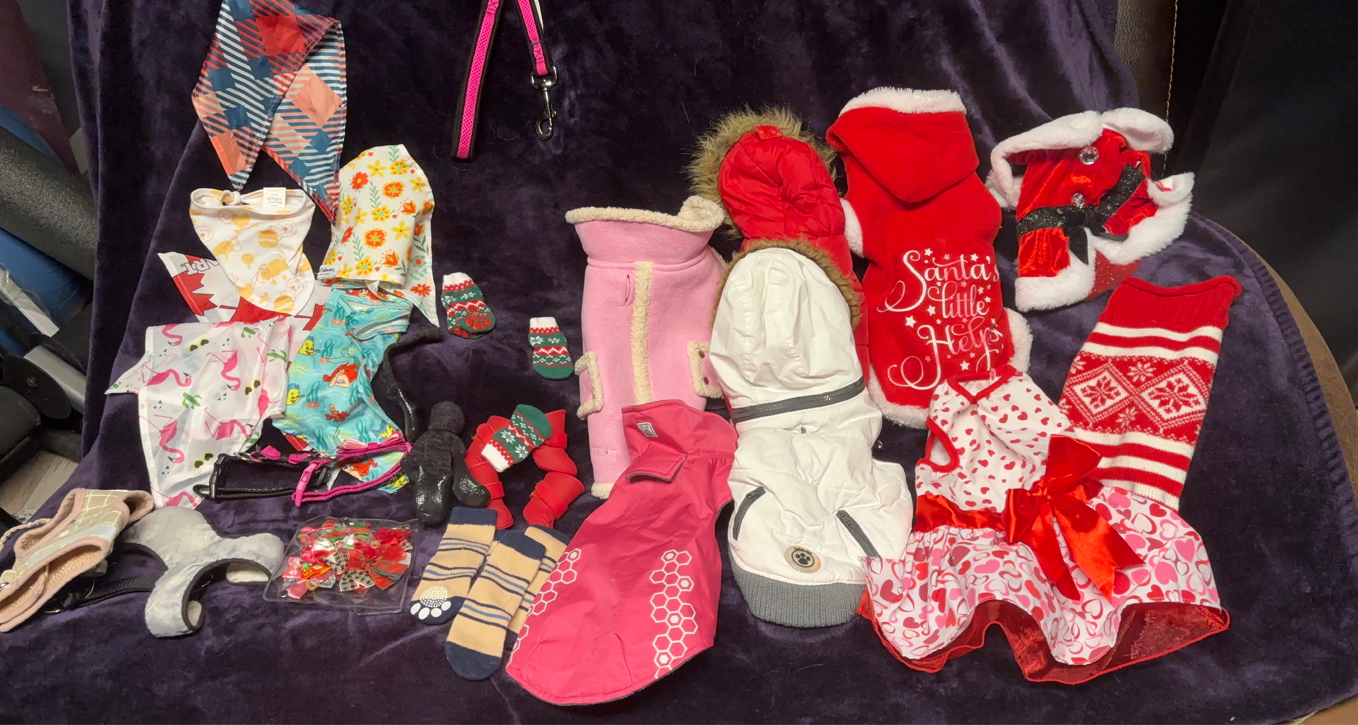 Assorted Dog Apparel and Accessories Bundle size small