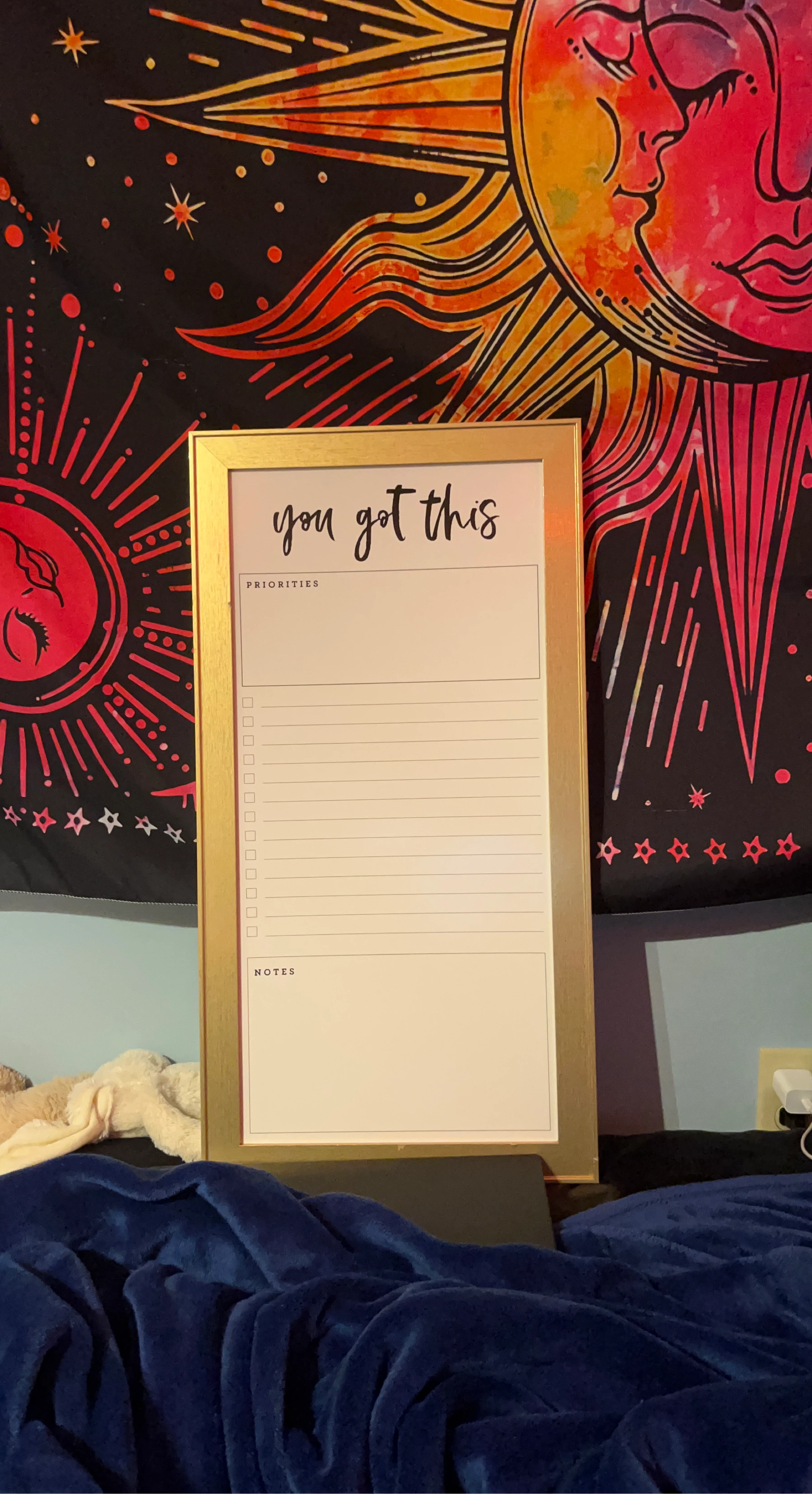 Framed "You Got This" Daily Planner Board
