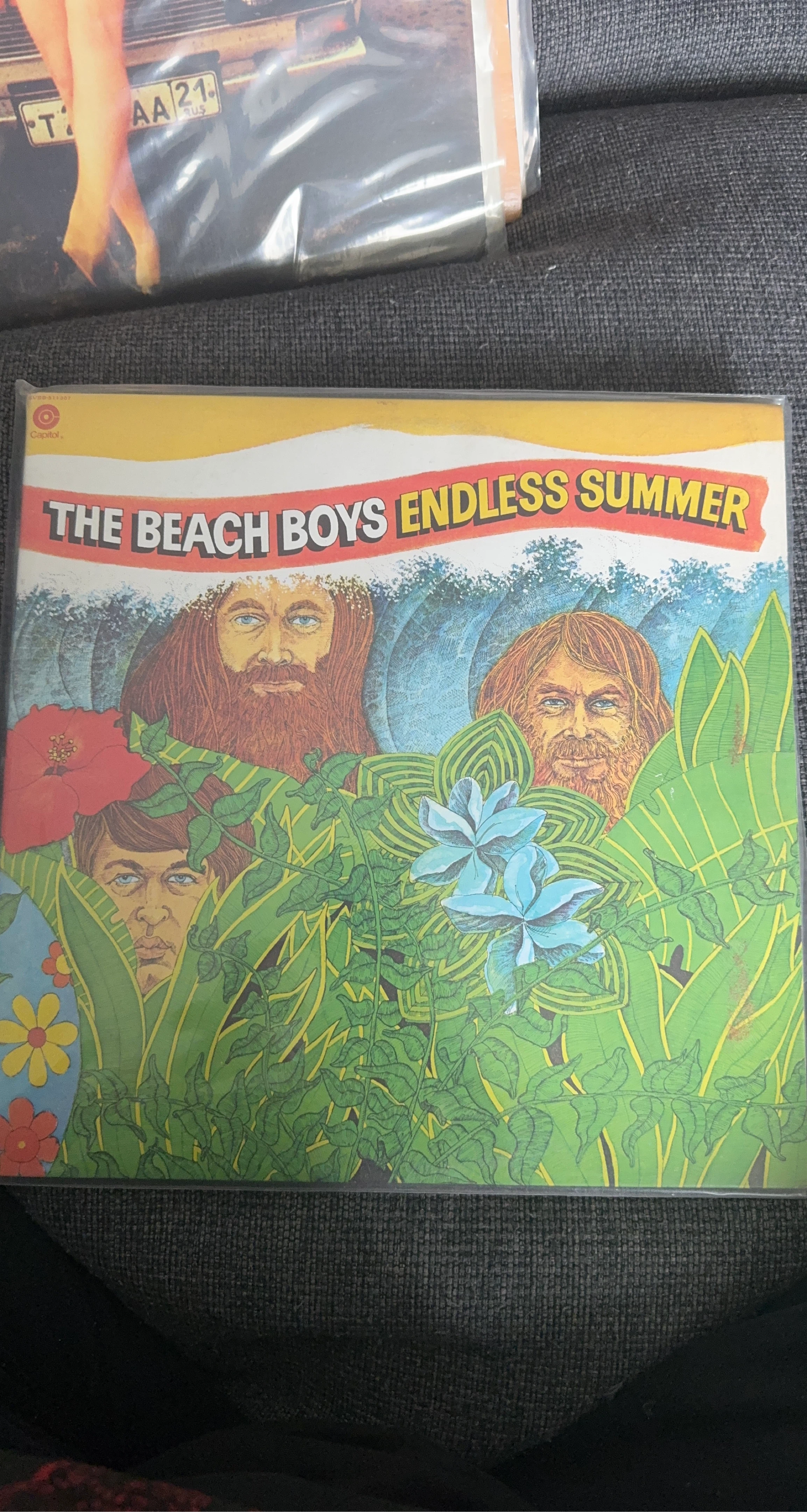 The Beach Boys Endless Summer Vinyl Record