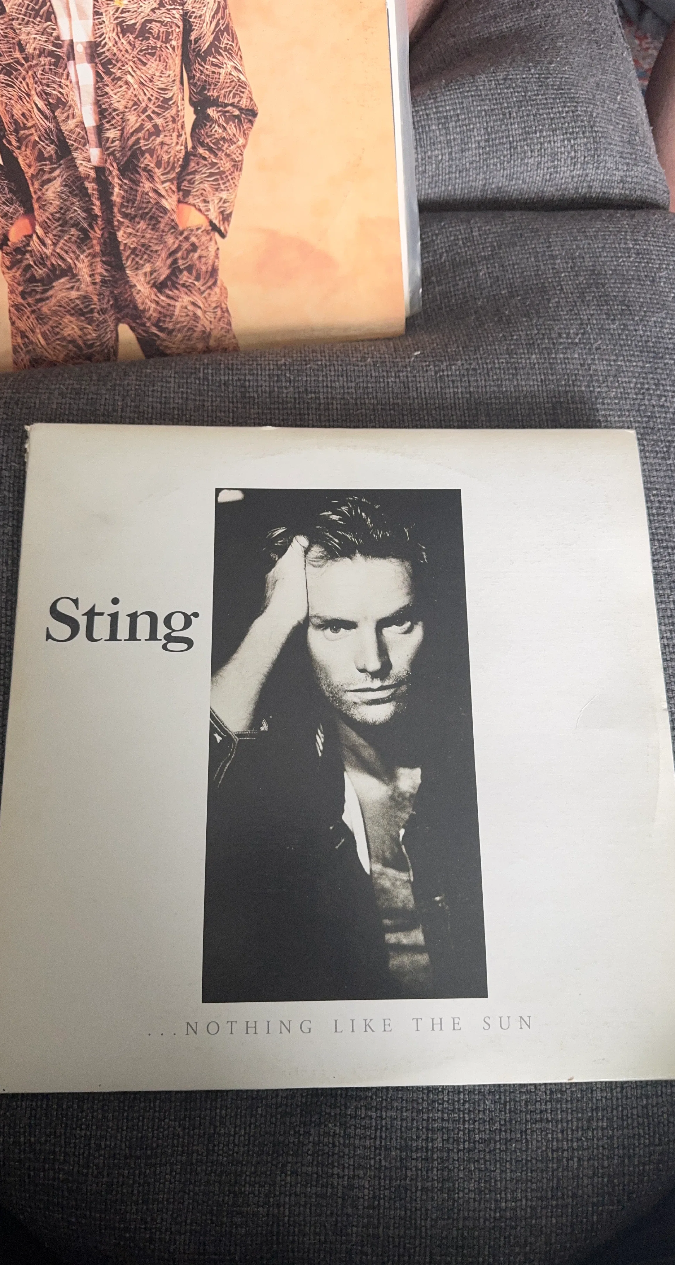 Sting Nothing Like The Sun Vinyl Record