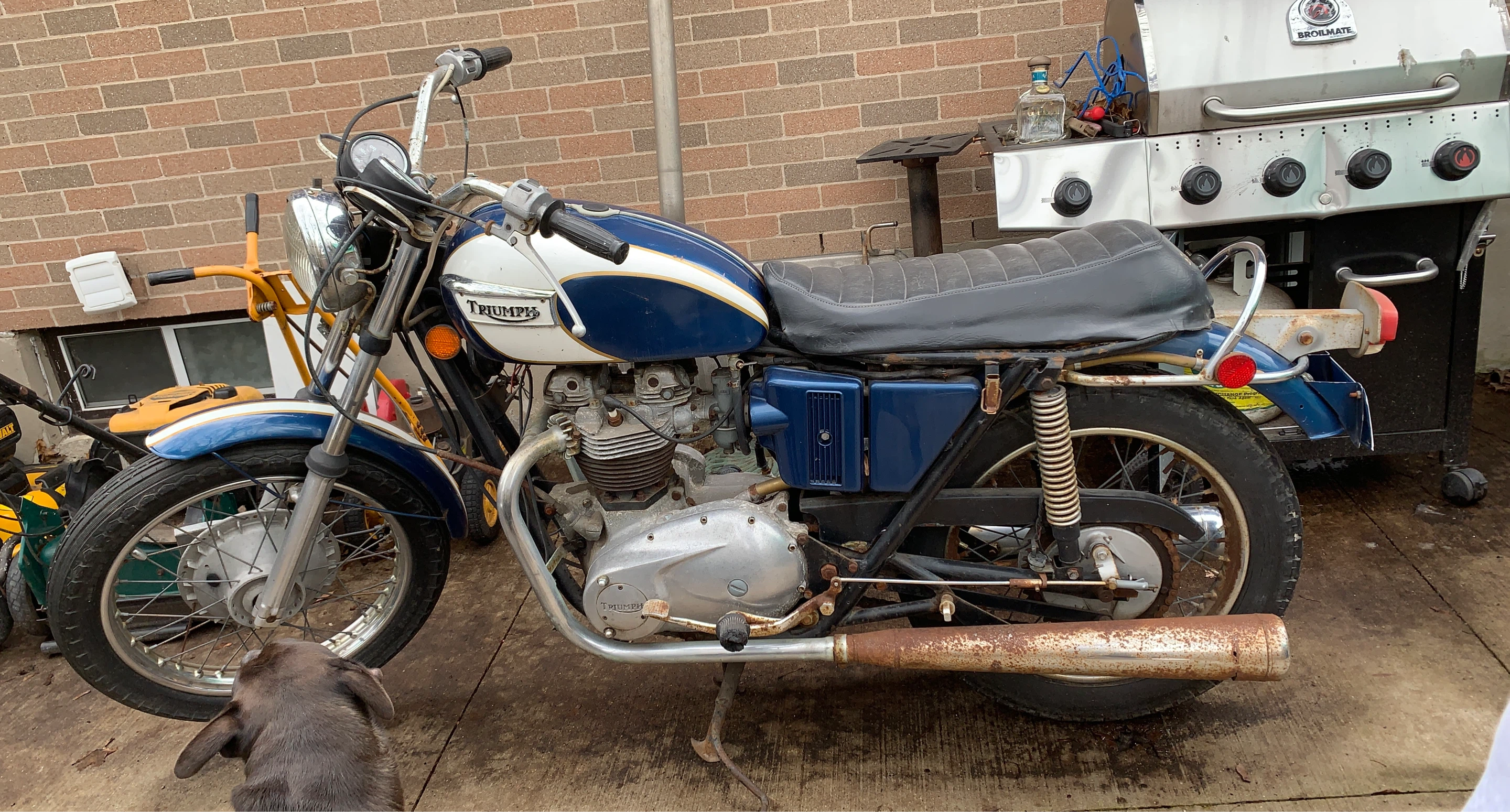 Triumph Motorcycle