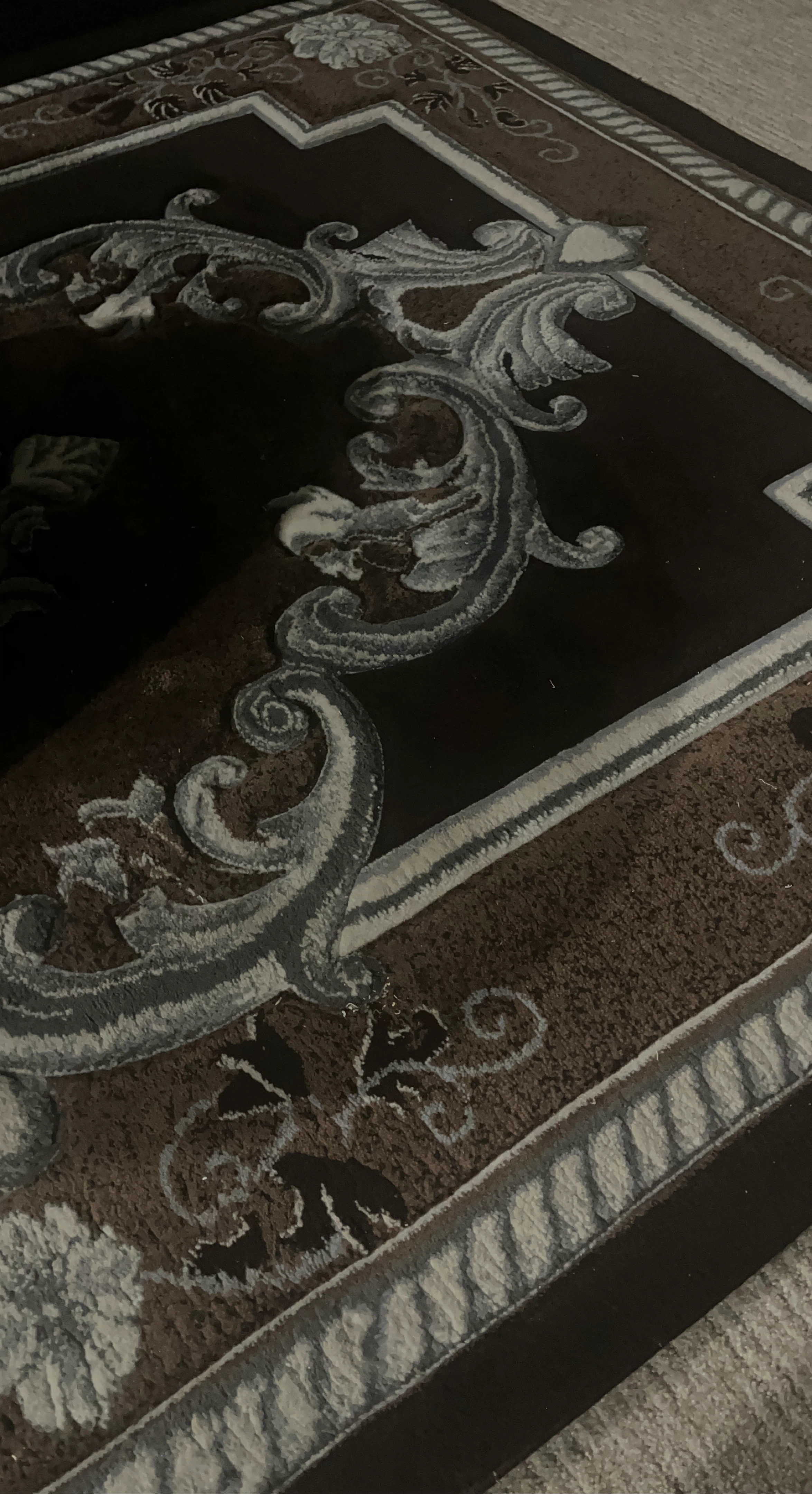 Oriental Style Area Rug