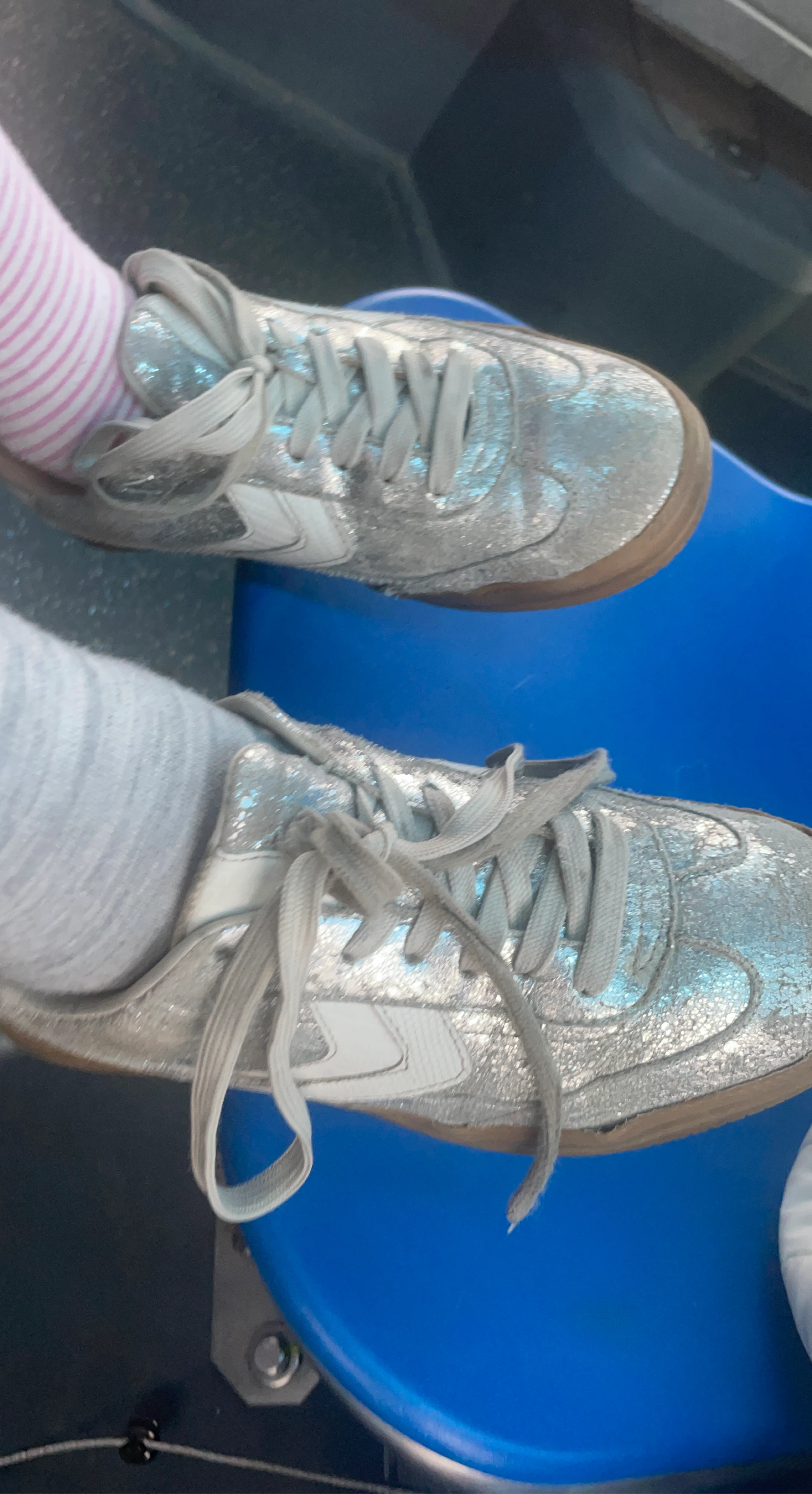 Silver Glitter Sneakers