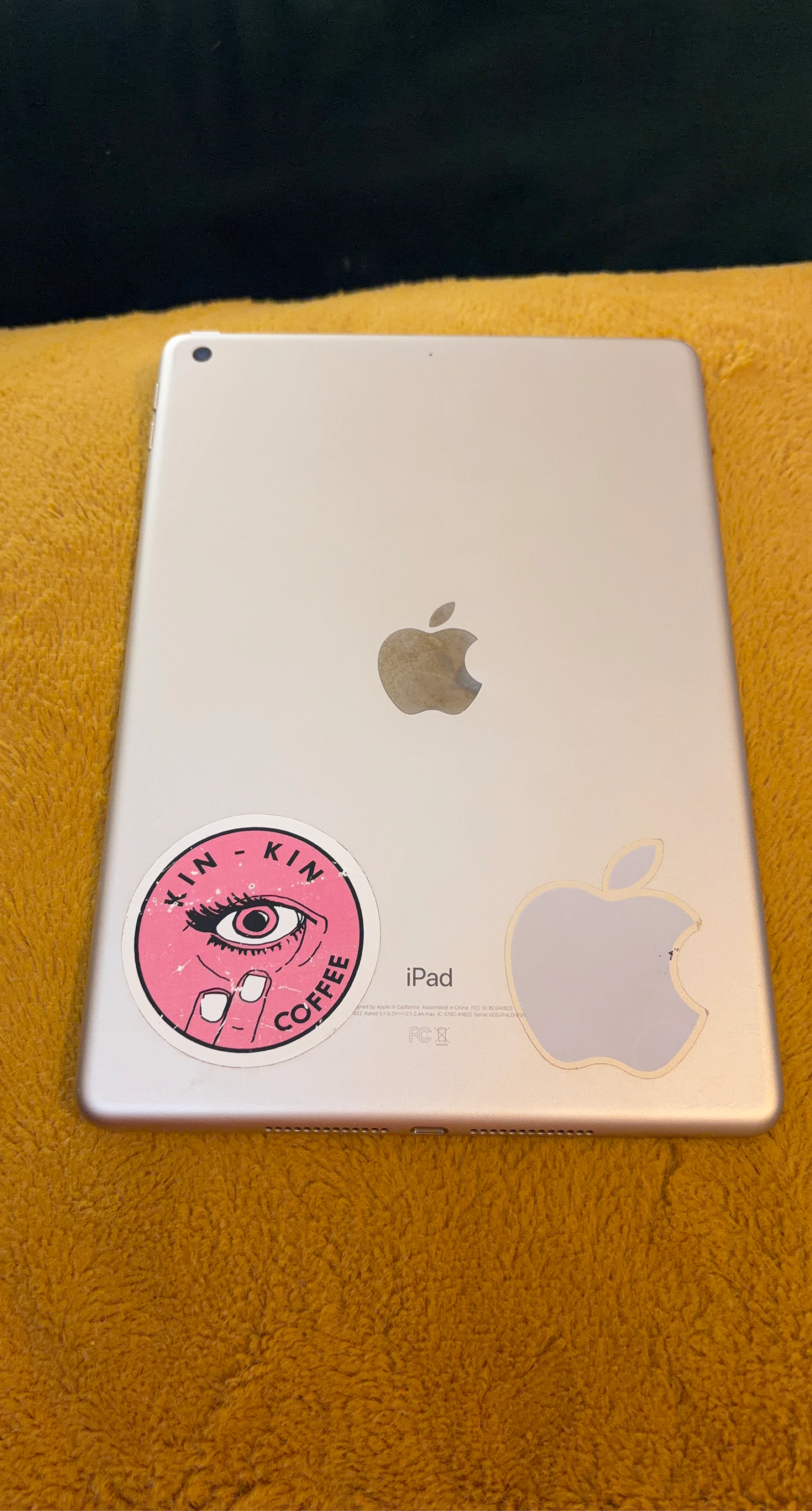 Apple iPad