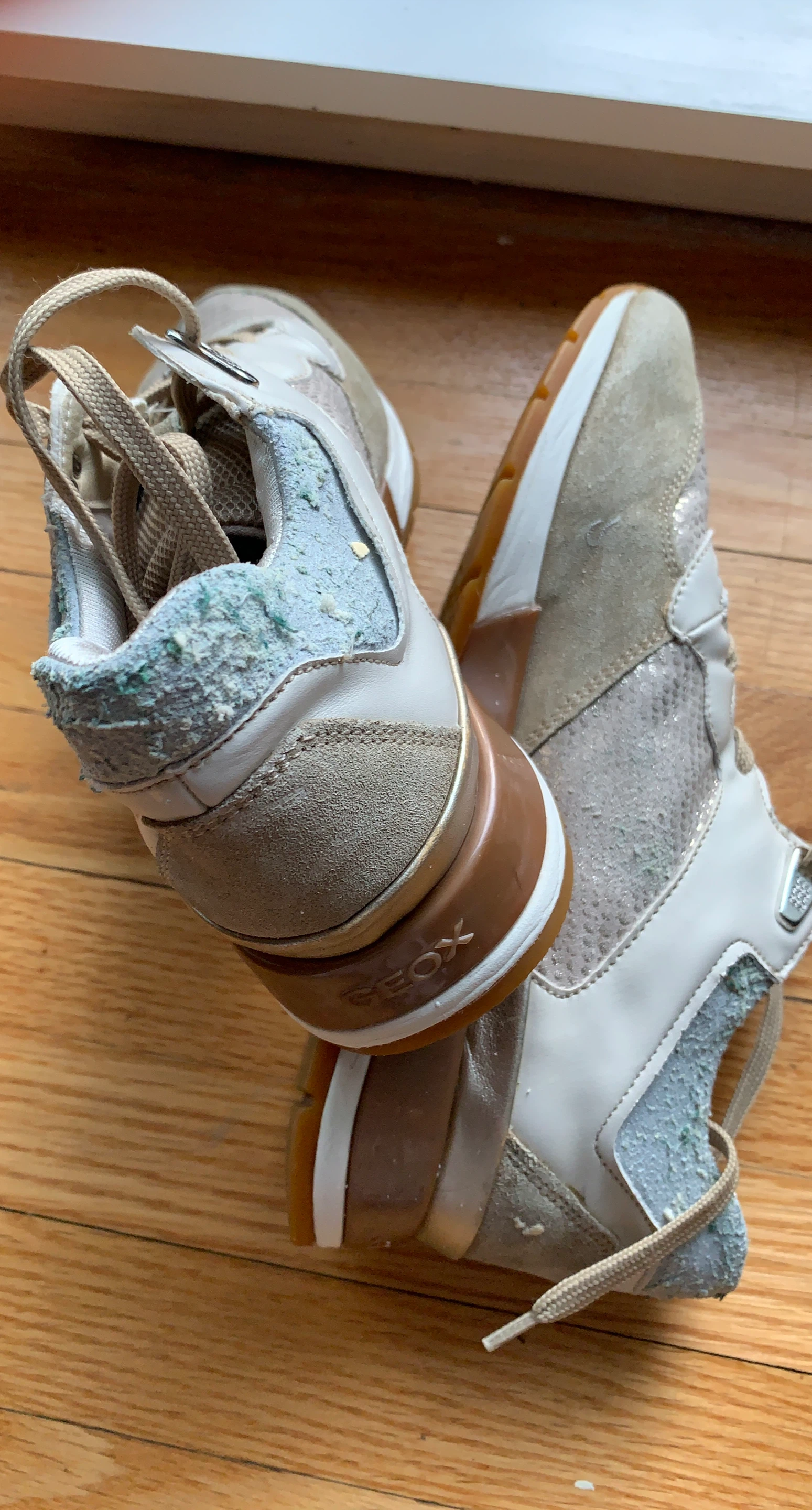 GEOX Women's Sneakers