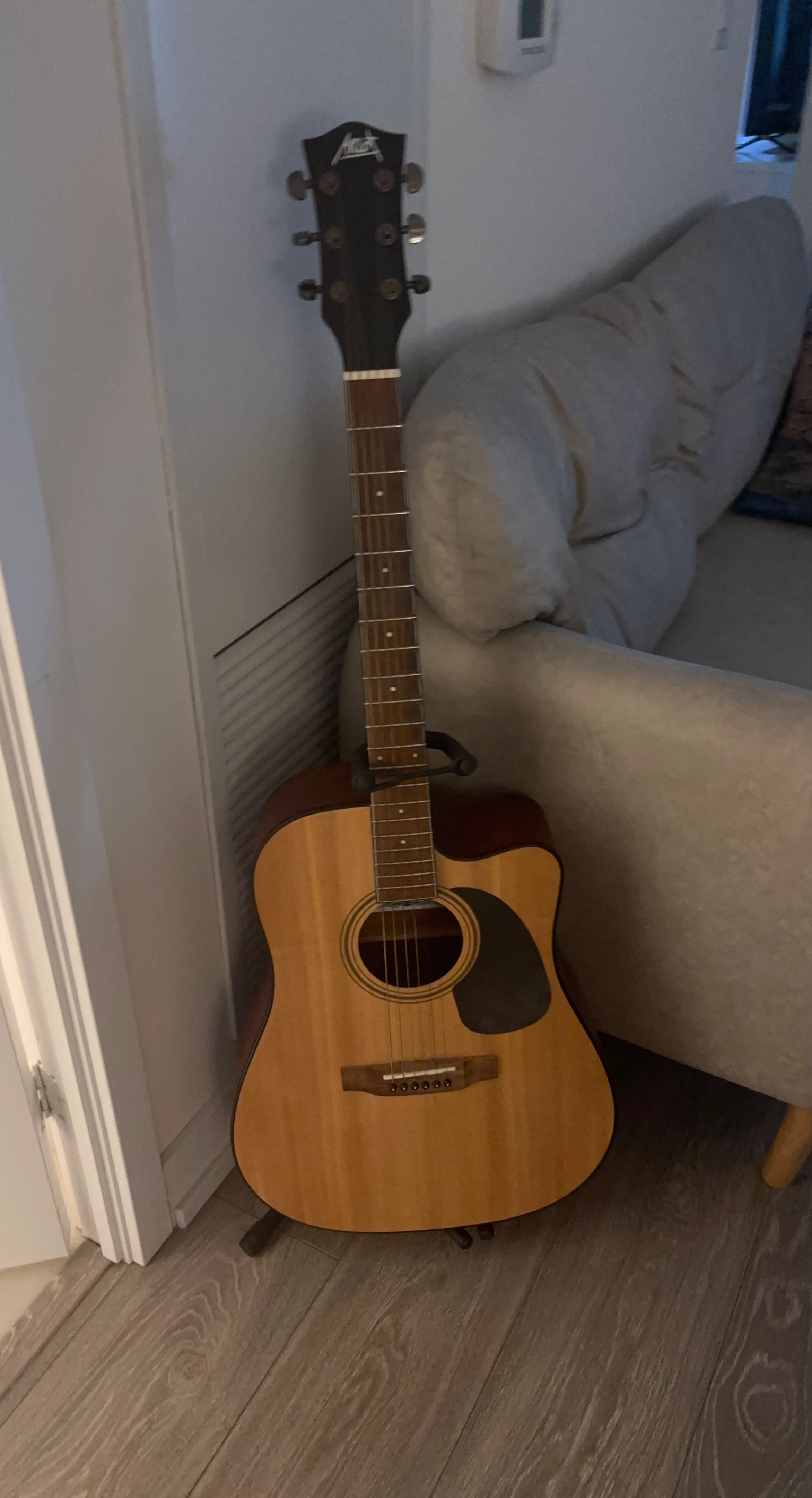 Acoustic Guitar