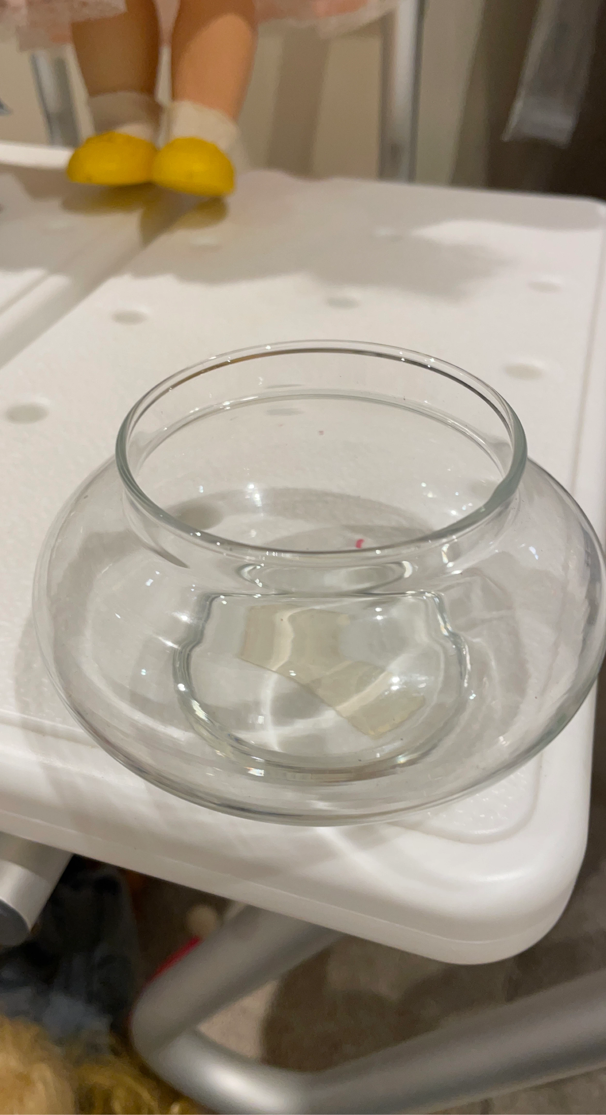 Clear Glass Bowl