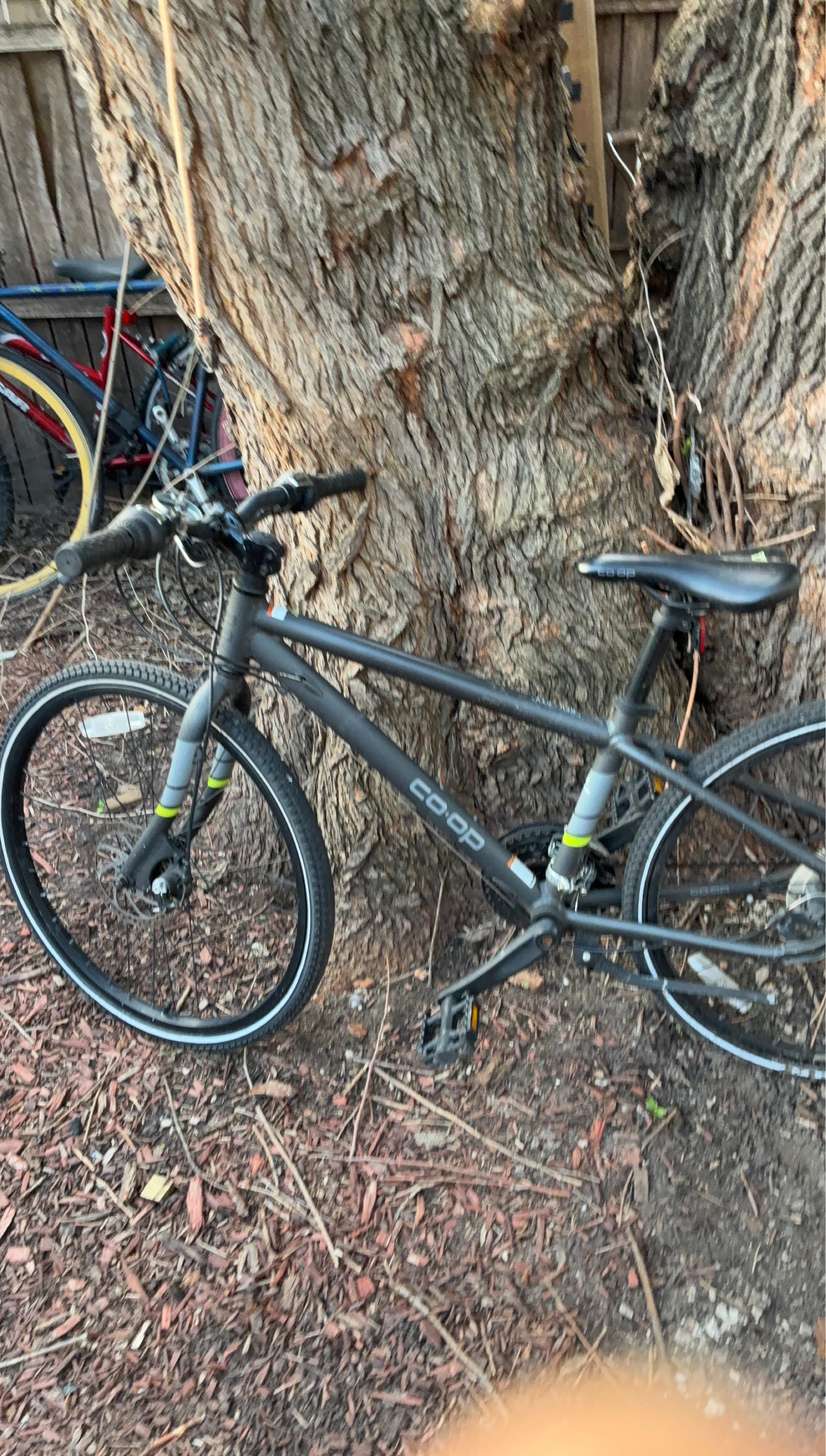 Co-op City Bike