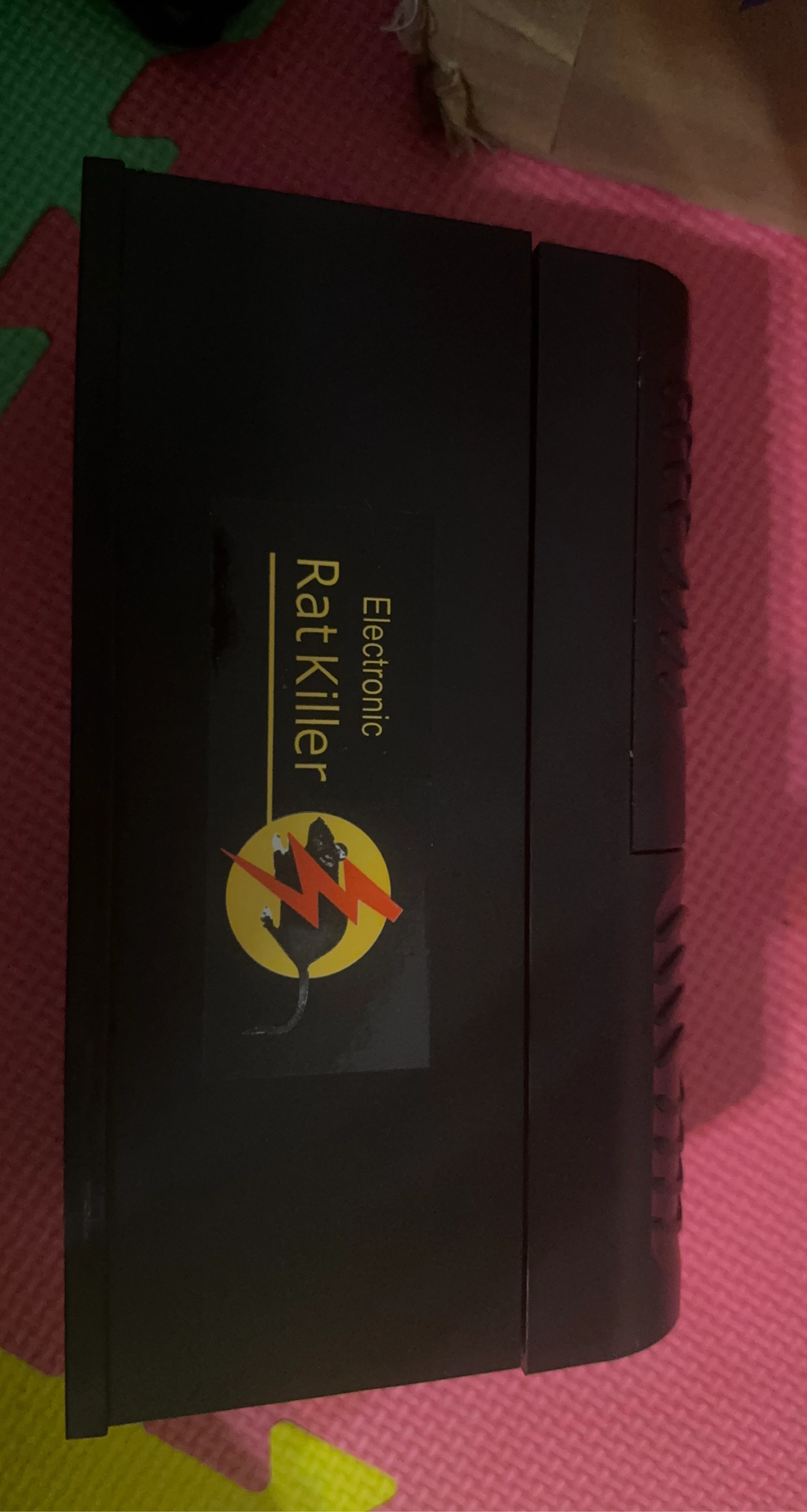 Electronic Rat Killer