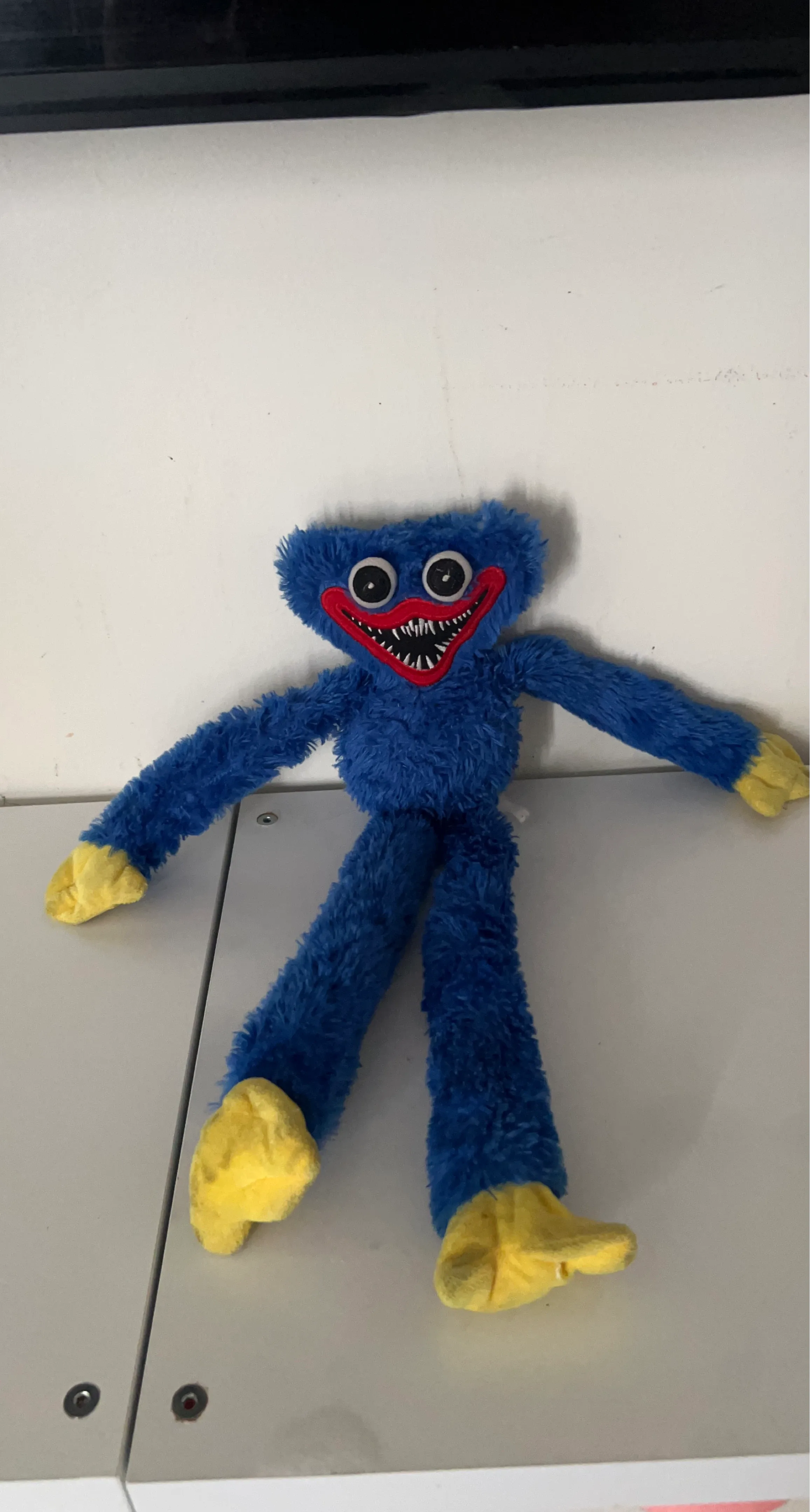 Huggy Wuggy Plush Toy