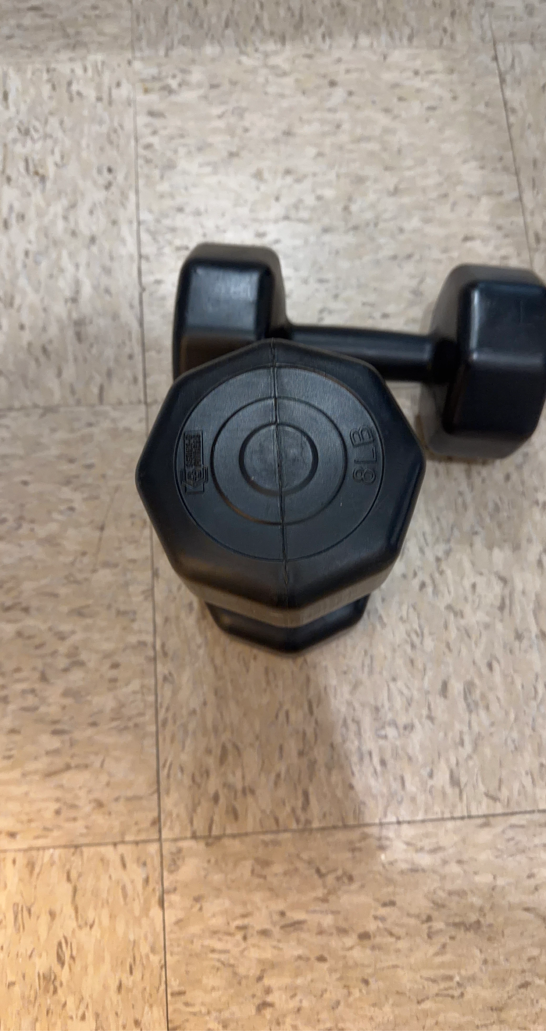 8lb Dumbbell