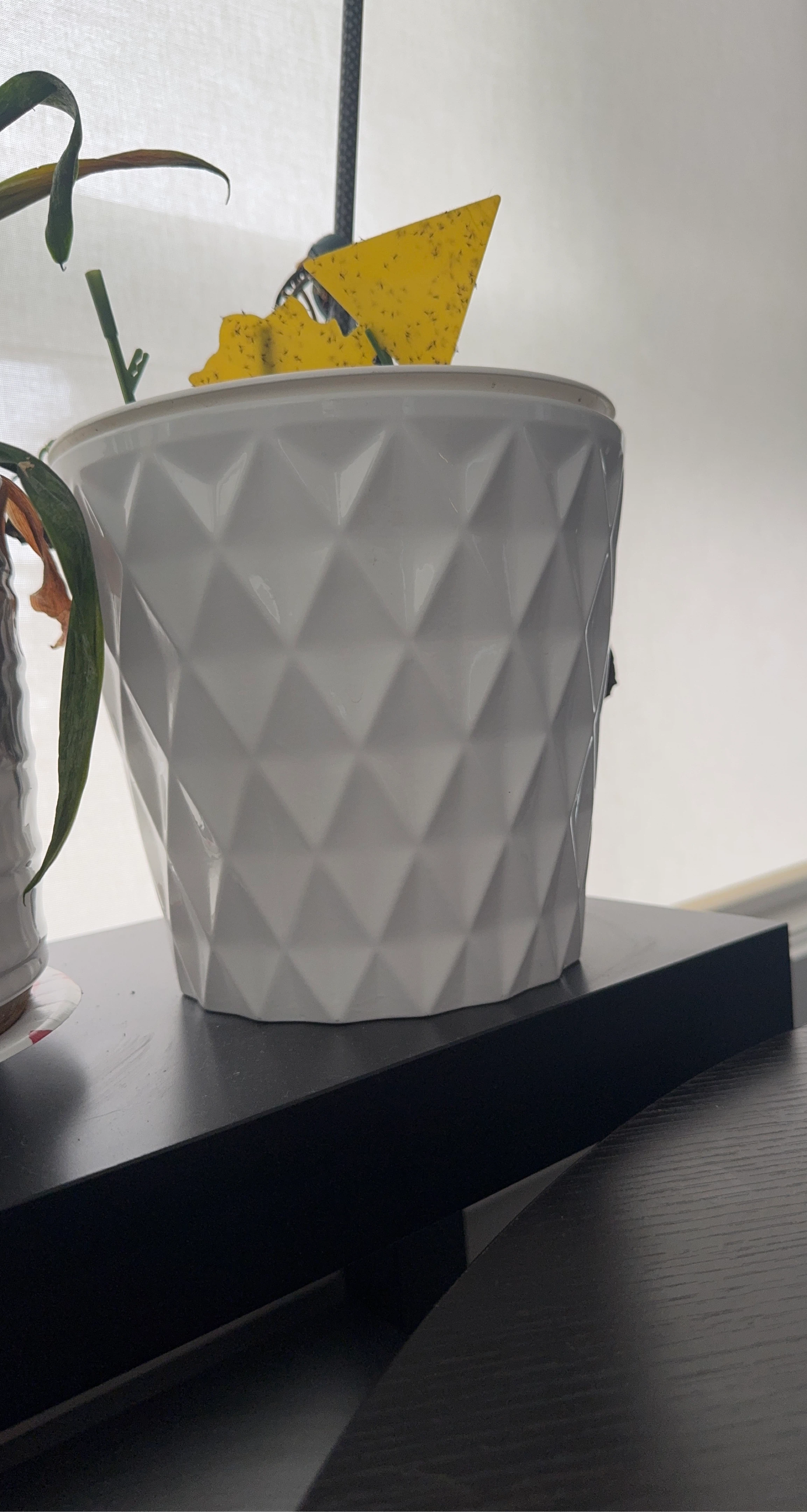 White Geometric Planter Pot