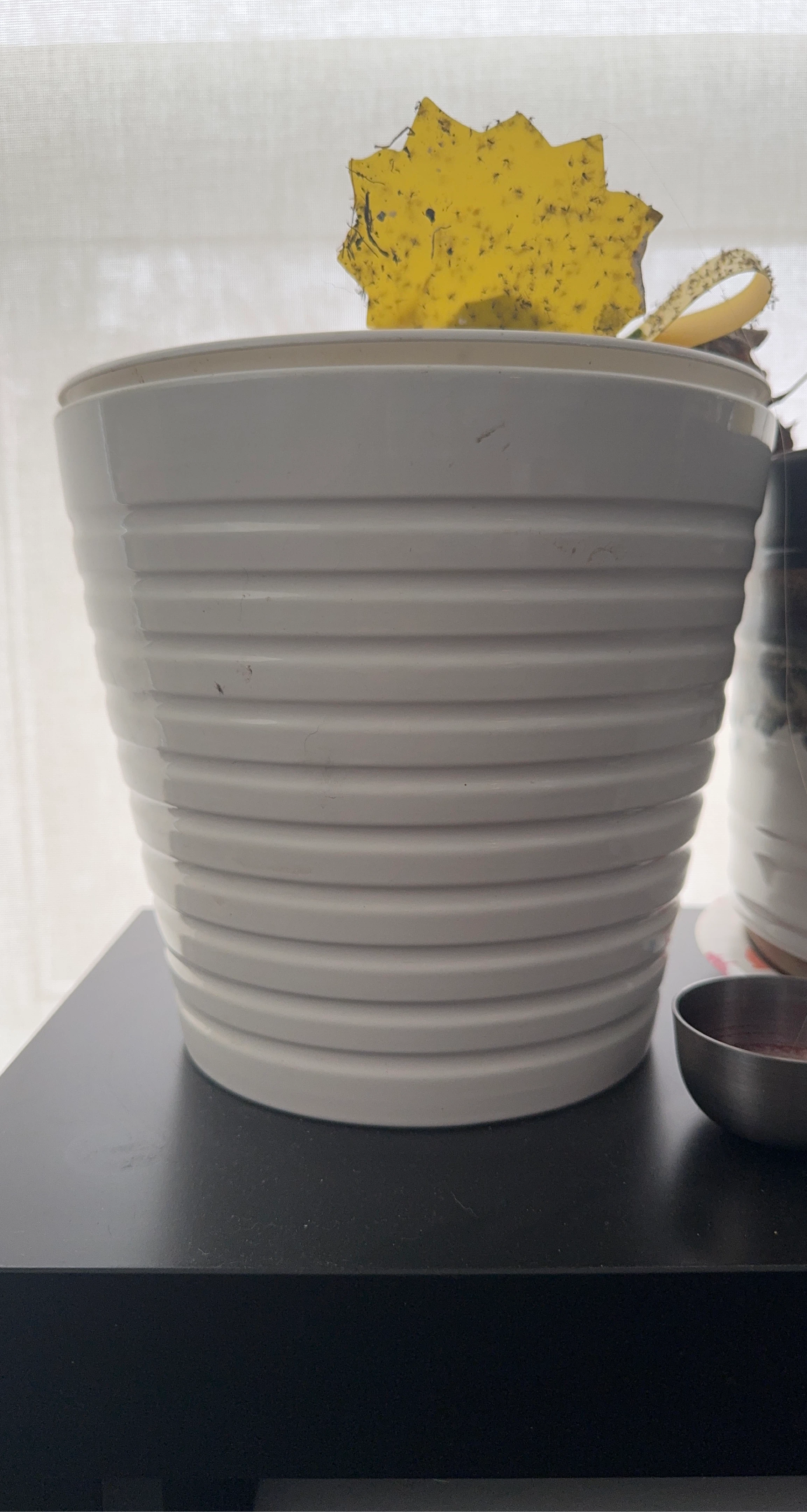 White Plant Pot