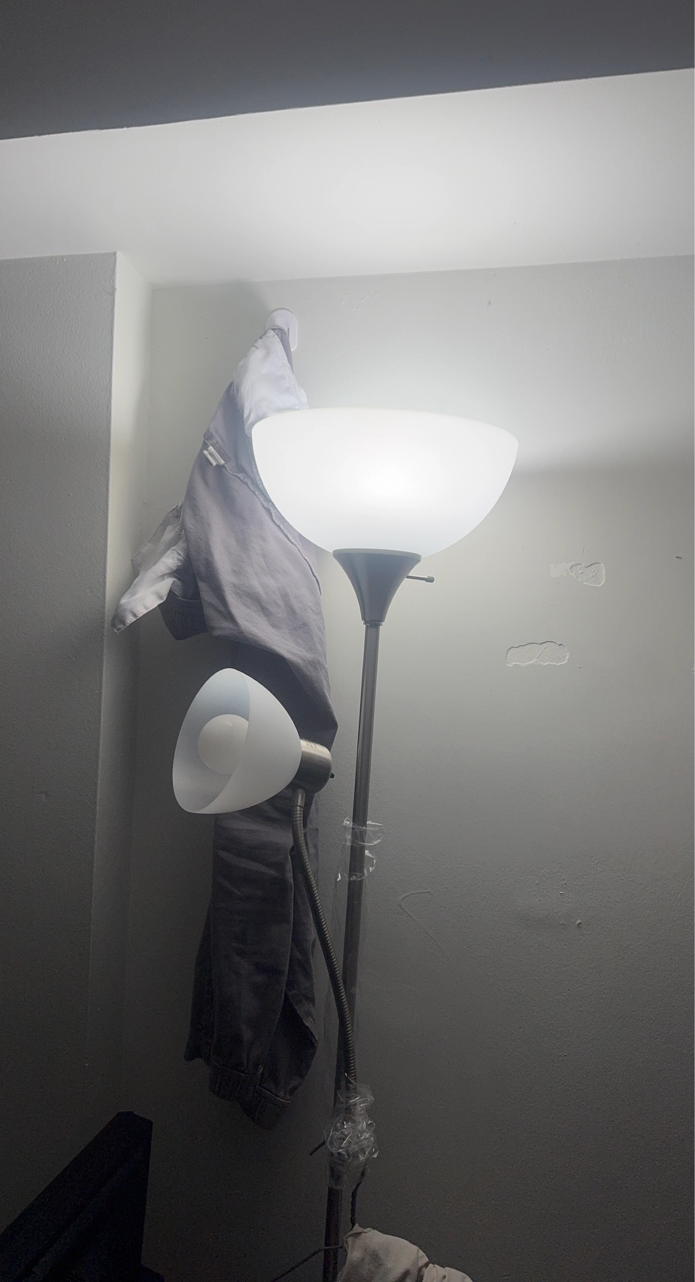Floor Lamp with Reading Light