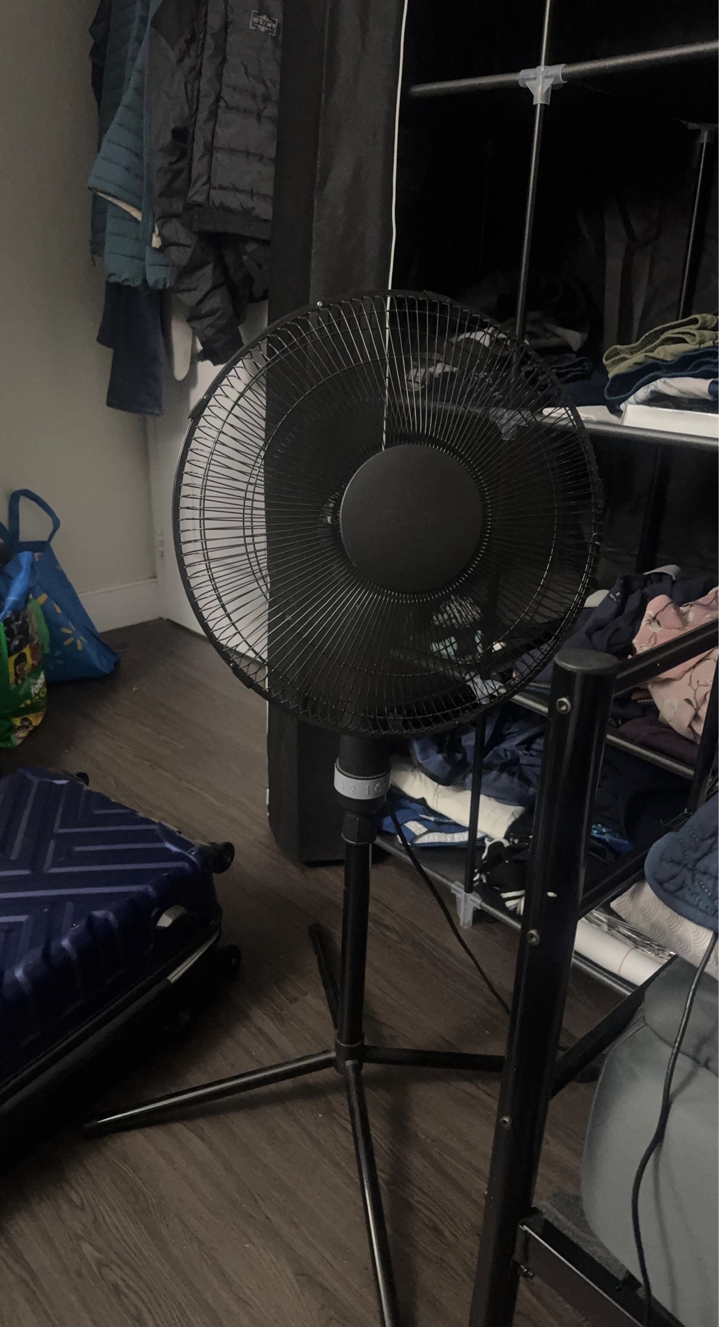 Black Pedestal Fan