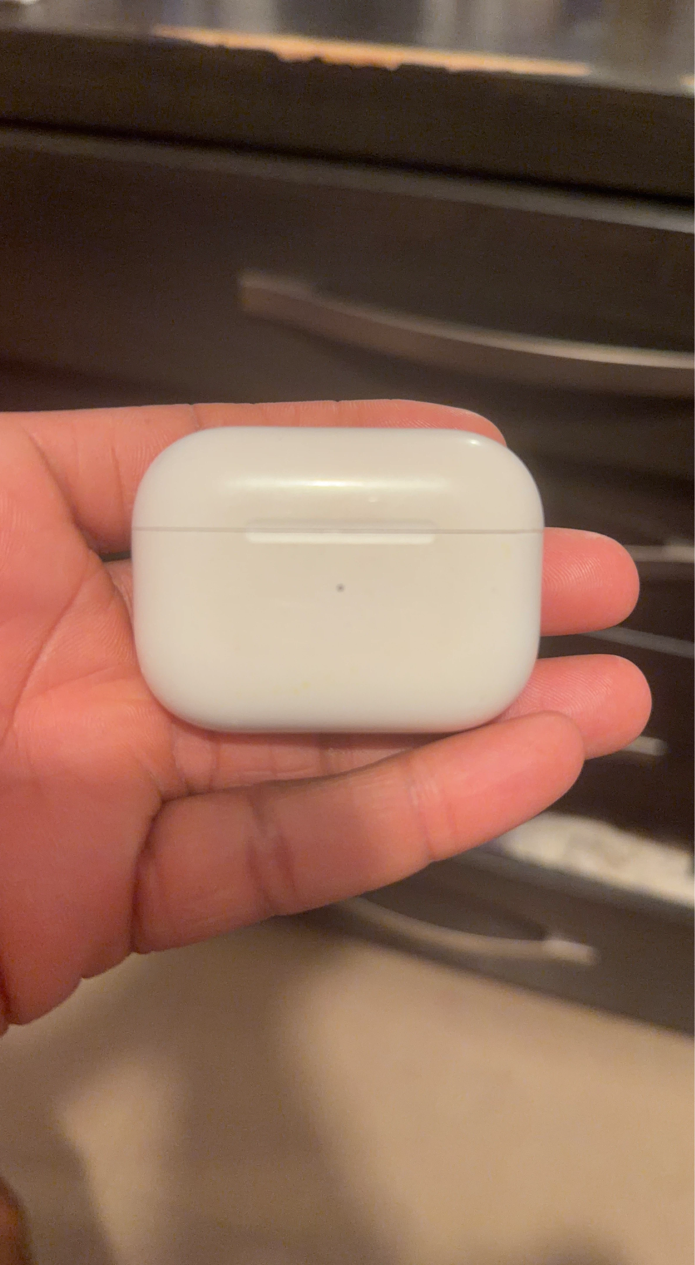 Apple AirPods Pro Charging Case