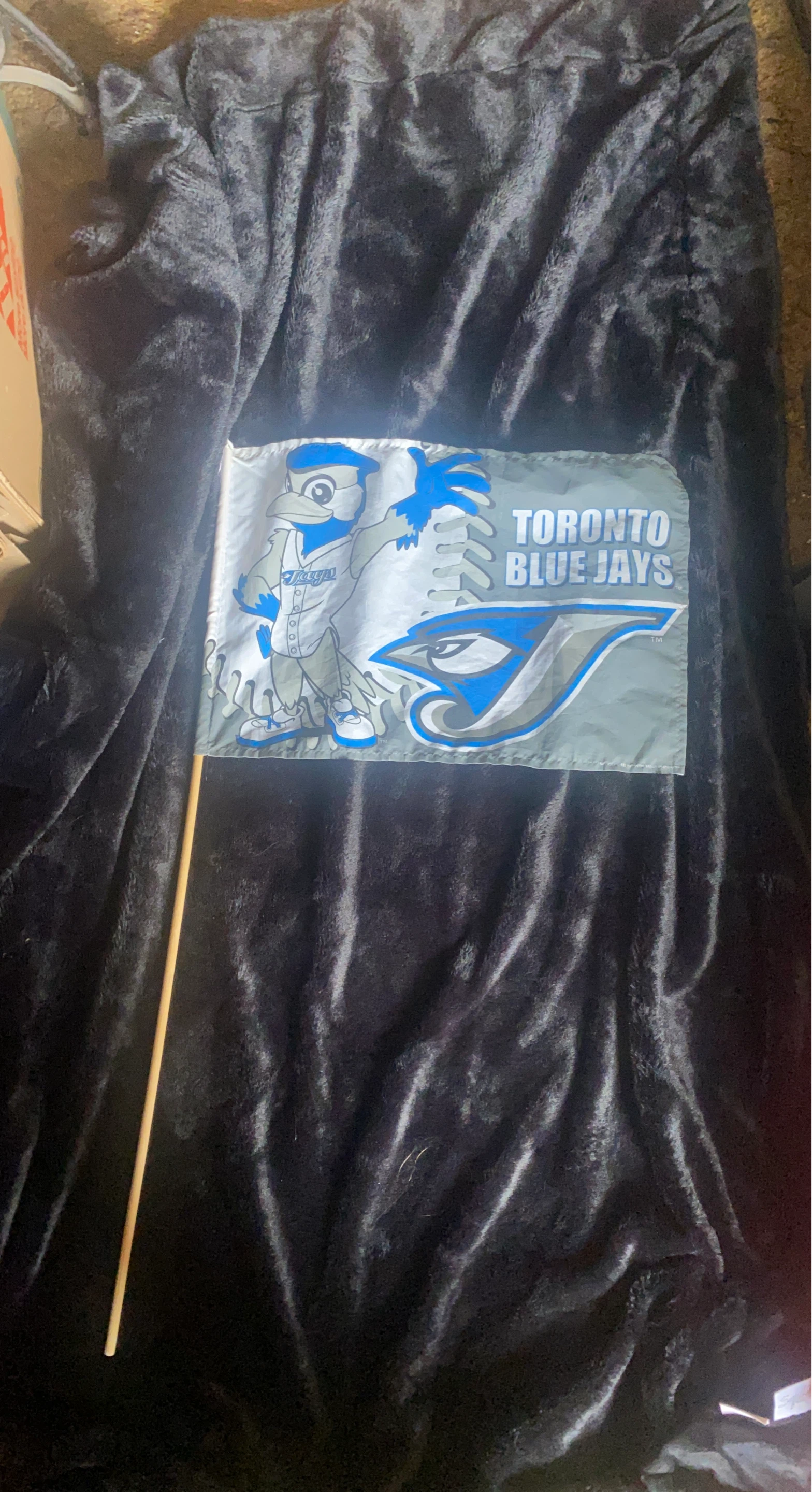 Official MLB Toronto Blue Jays Hand Flag – Vintage