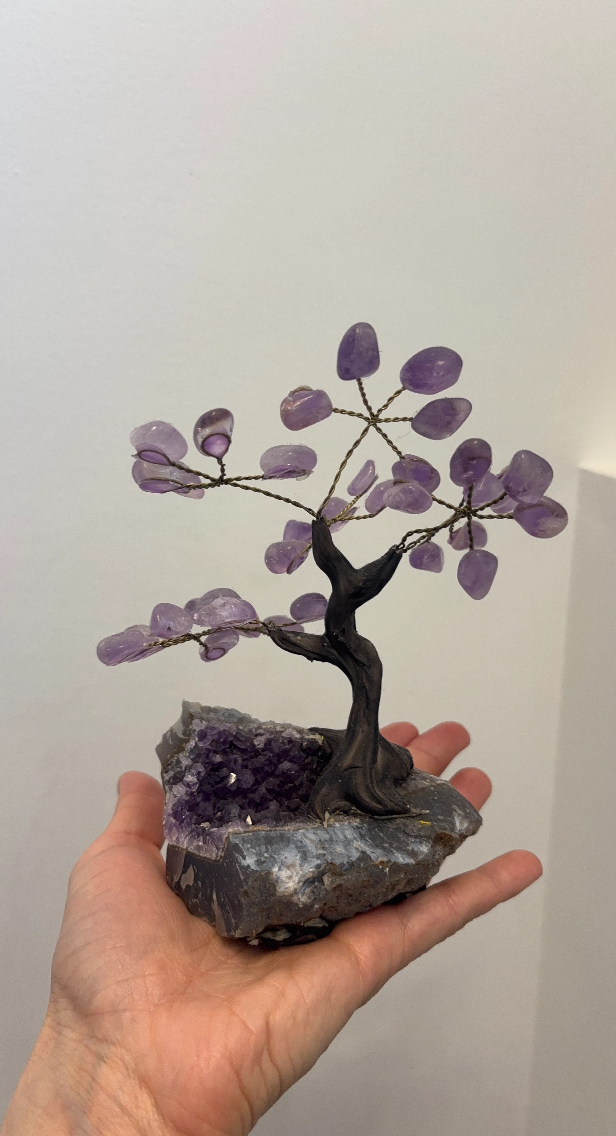Amethyst Crystal Tree on Geode Base