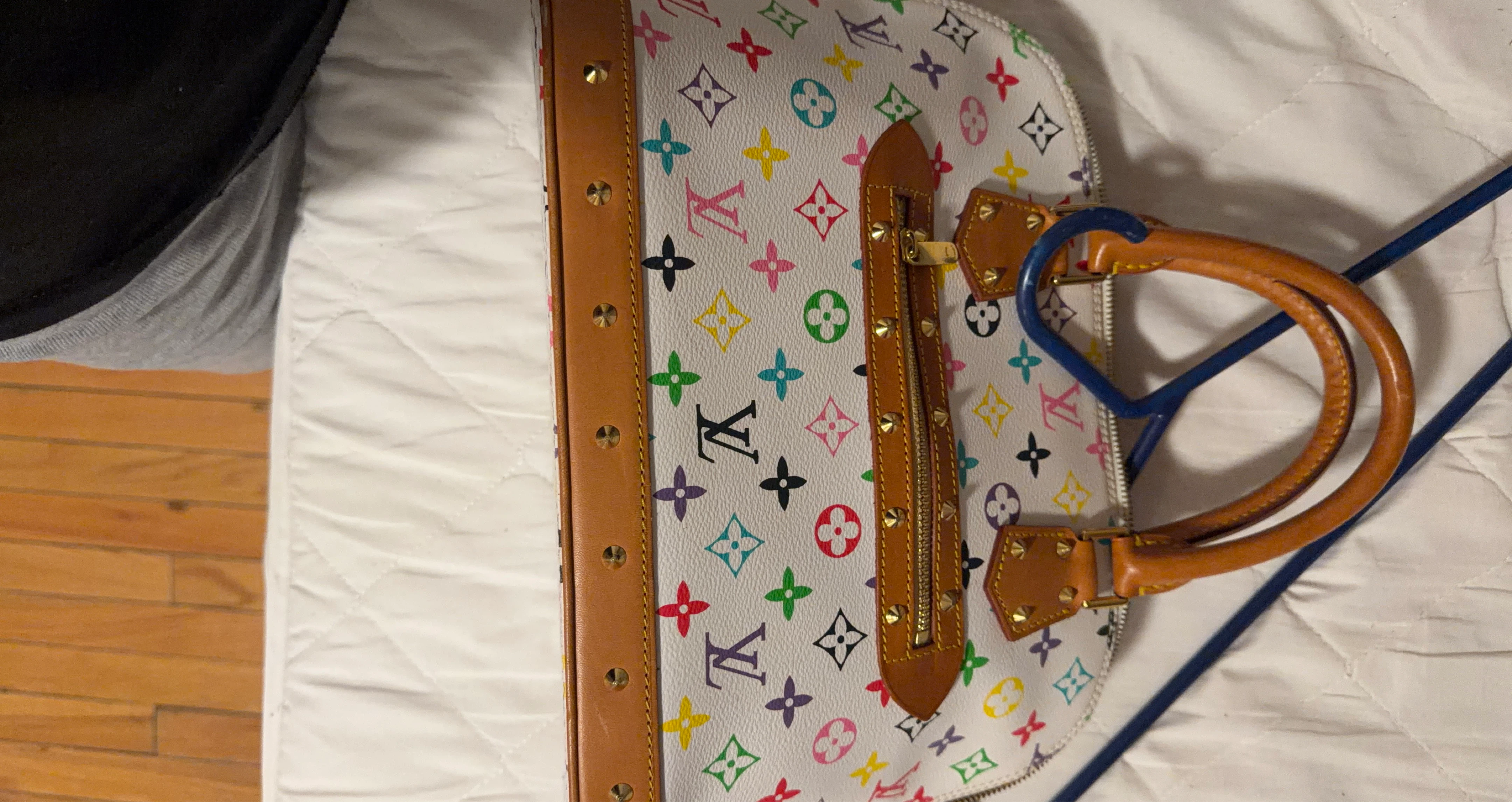Louis Vuitton Multicolor Speedy Bag