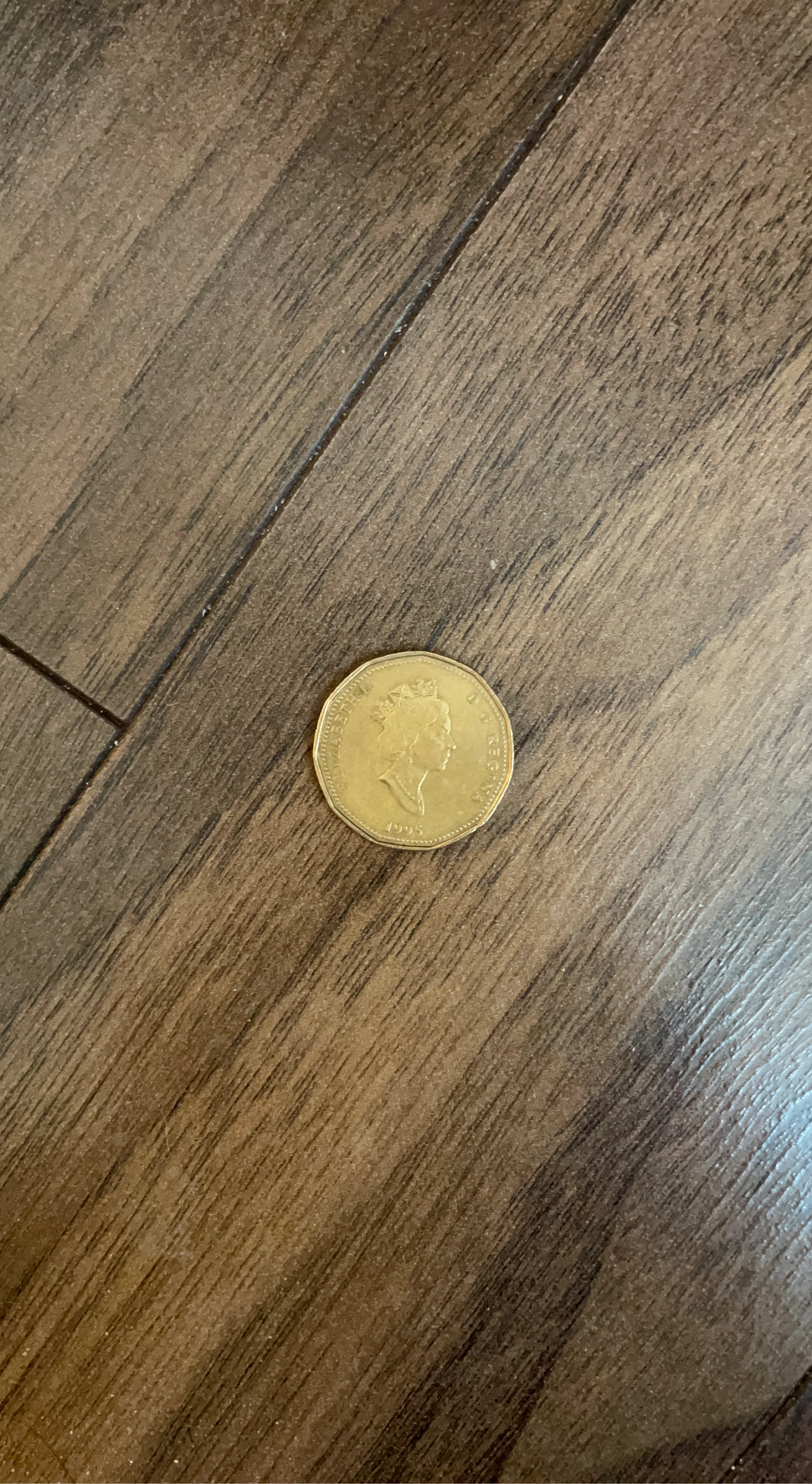 1995 Peacekeeping Loonie