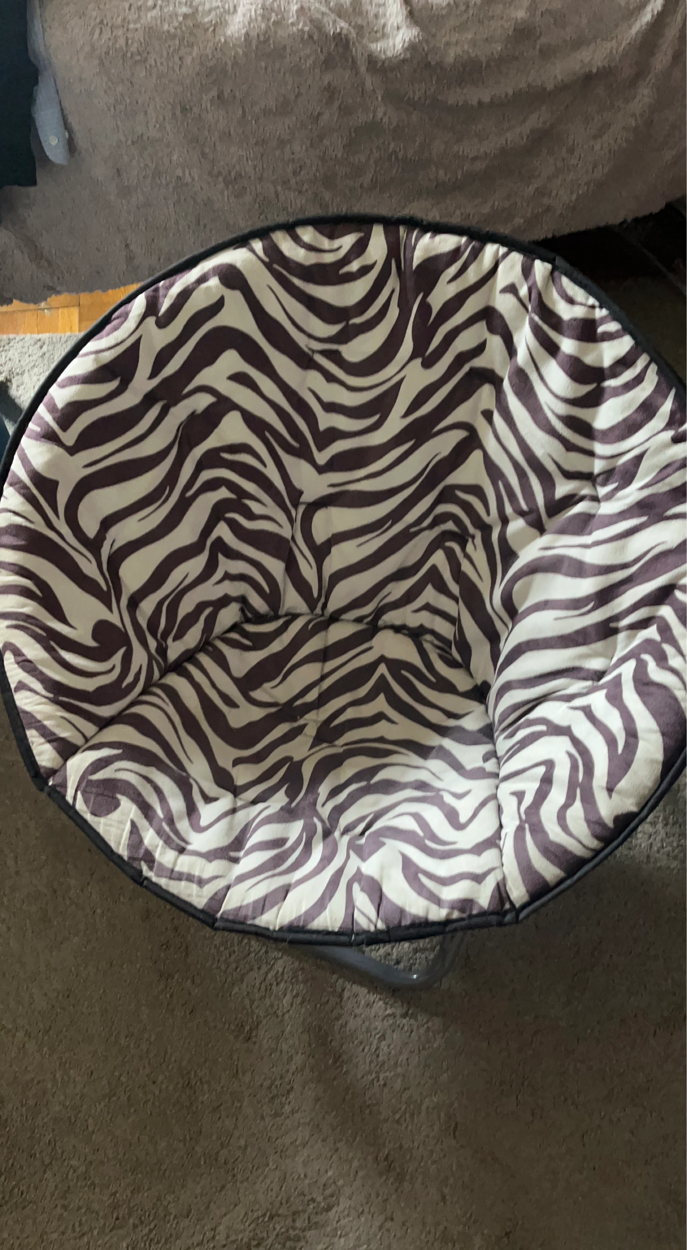 Zebra Print Moon Chair